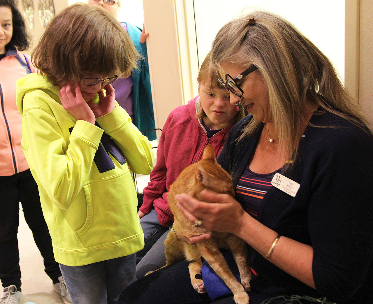 Lydia Vaughan, left, and Courtnee Cox admire one of the cats at WAIF Animal Shelter, held by Tisa Seely, volunteer and outreach coordinator at WAIF. Photo by Laura Guido/Whidbey News Group