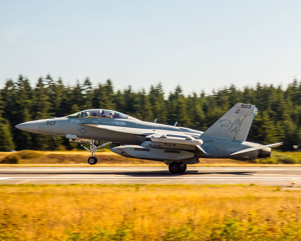 Navy photo.                                An EA-18G Growler pilot practices aircraft carrier landings at Outlying Field Coupeville.