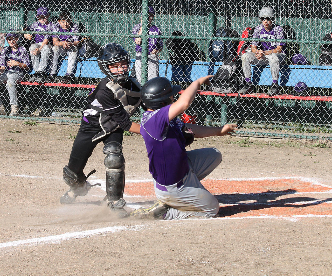Catcher Kody Morrow slaps a tag on Anacortes’ Zack Decker trying to score on an over throw.(Photo by Jim Waller/Whidbey News-Times)