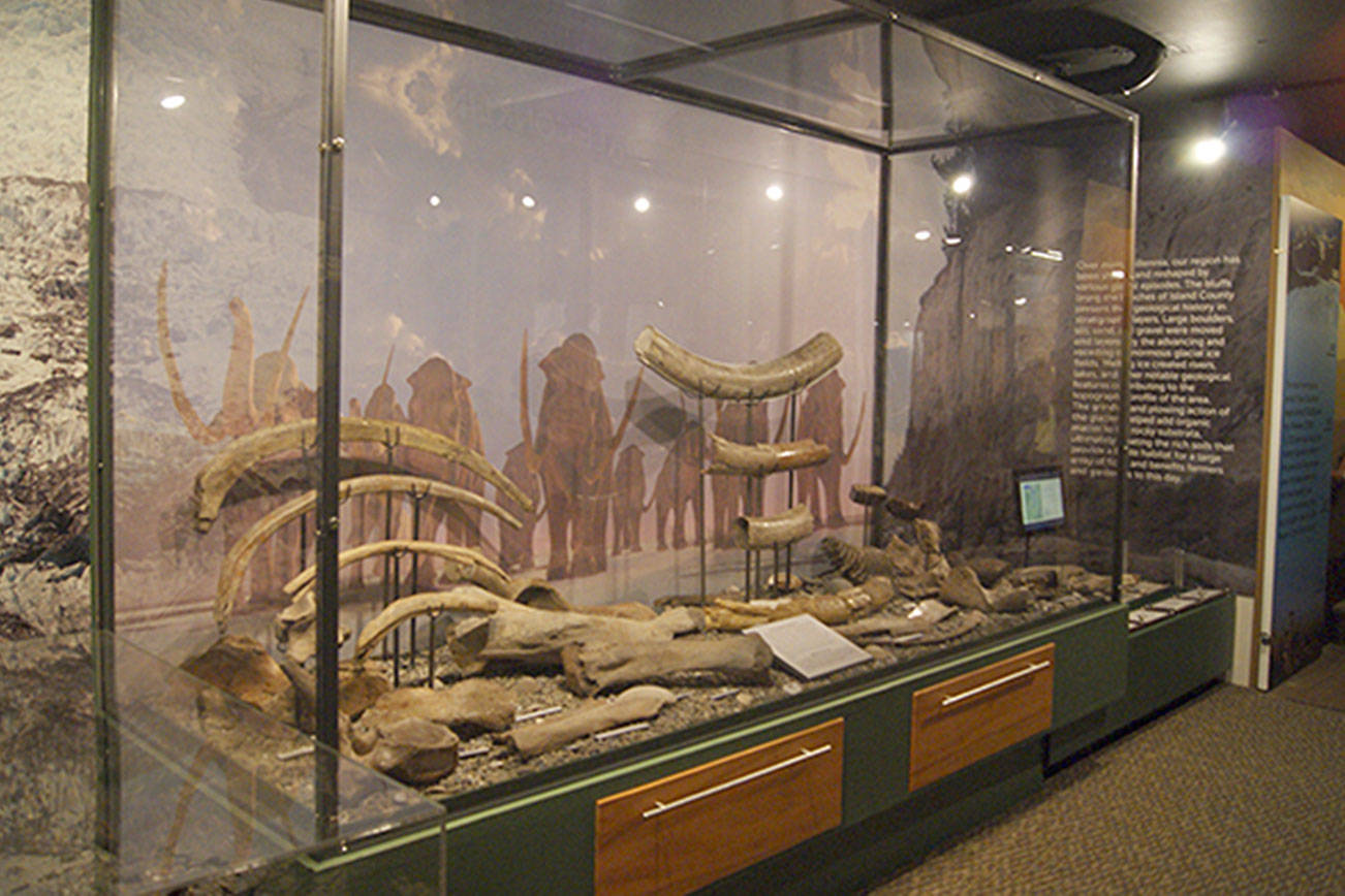 The Dale Conklin Prehistory Exhibit will be dedicated Thursday, July 19