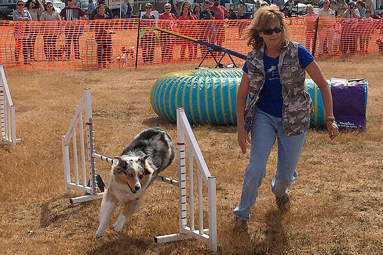File photo                                There will be fun for all dogs and owners at this year’s event.