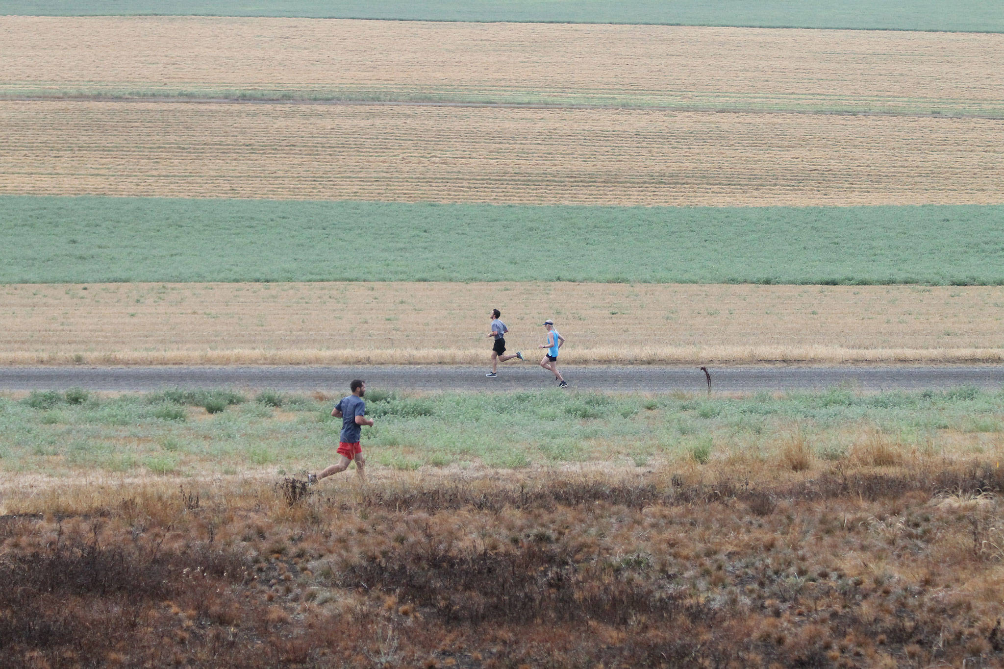 Runners jog through the prairie during Saturday’s Race the Reserve. (Photos by Jim Waller/Whidbey News-Times)