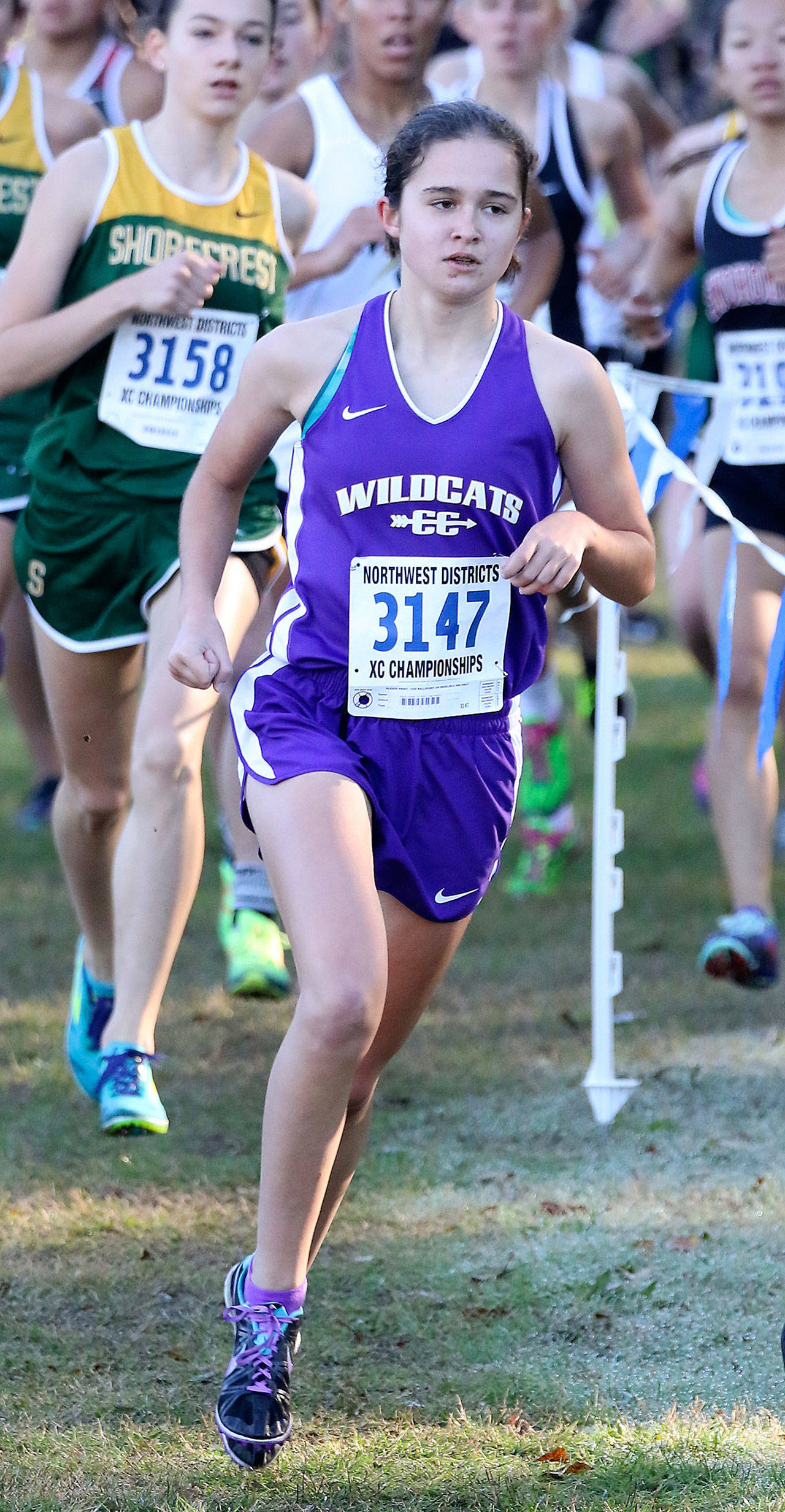 Three-year letter winner Alex Smith will guide the Wildcat cross country team in 2018. (Photo by John Fisken)