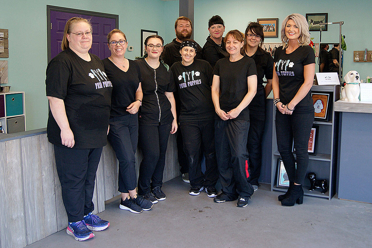 Posh Puppies takes home top dog grooming salon for Best of Whidbey