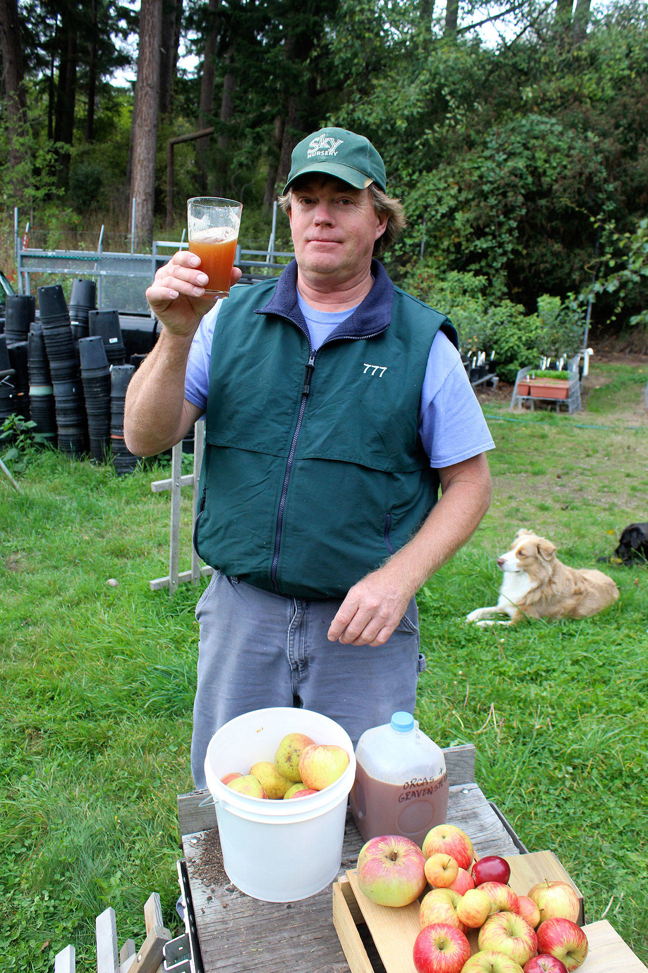 Dan Vorhis tries out his just-squeezed juice at Muscle and Arm Farm in Freeland as his canine workers take a rest.