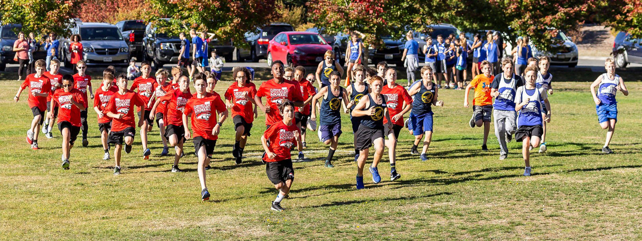 The North Whidbey seventh-grade boys (red shirts) take off from the start line Wednesday. Seven Cougars finished among the top eight.(Photo by John Fisken)