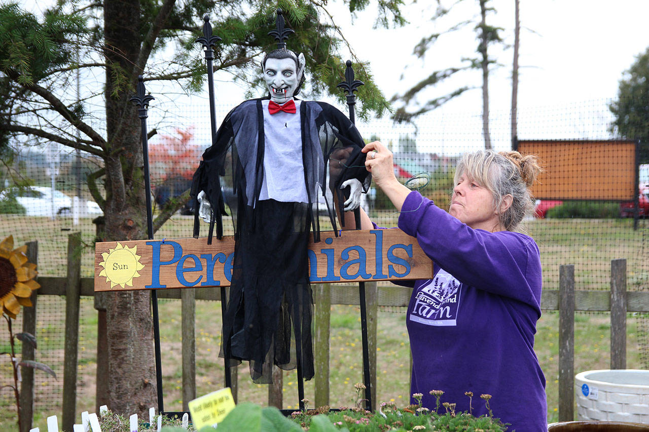 Jackie Bartsch of Rain Shadow Nursery hangs a vampire in front of her perennials. Photos by Laura Guido/ Whidbey News Group