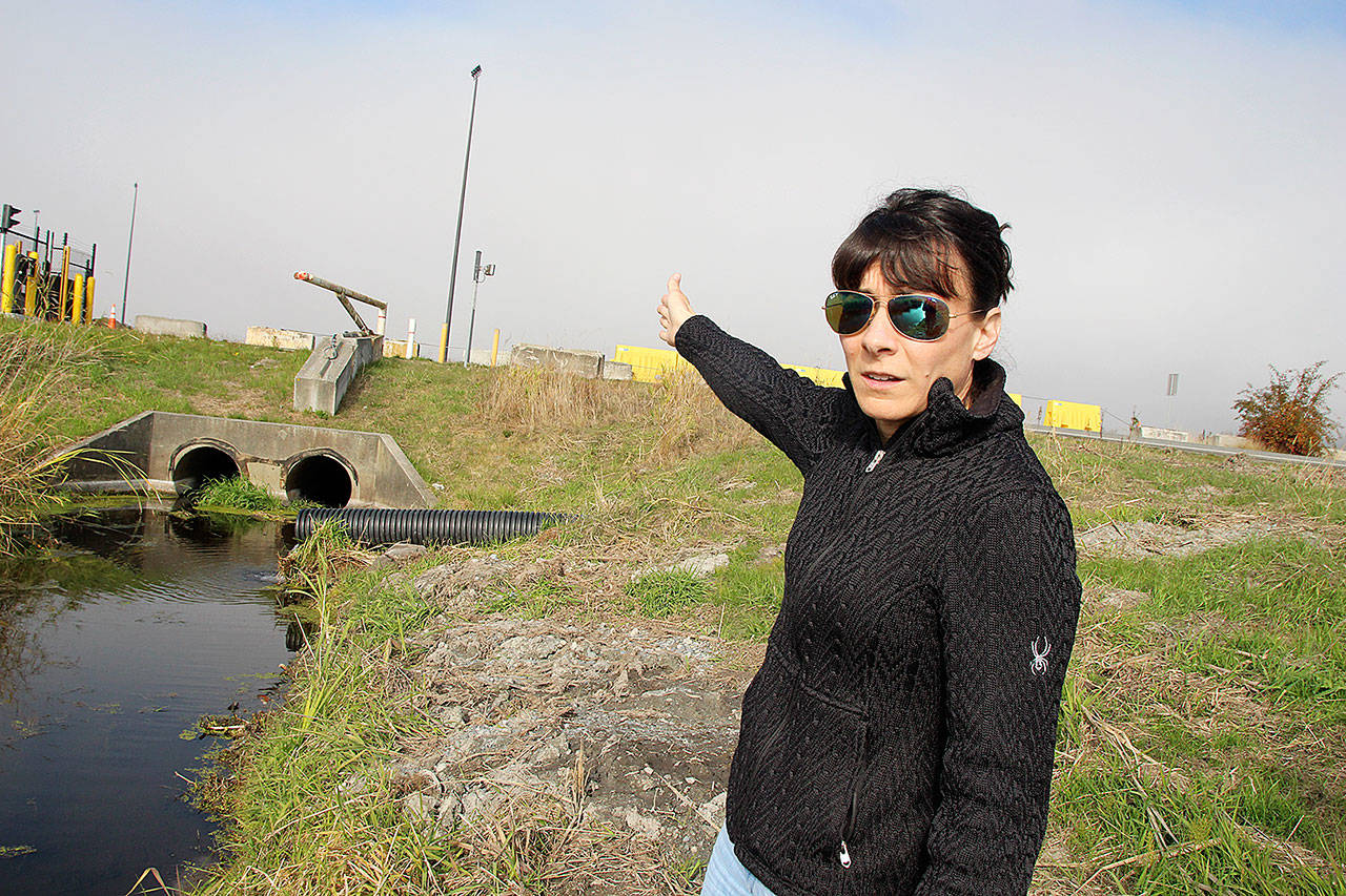 Jaime Jensen, base environmental water program manager, points to a creek that flows off base in which toxic firefighting foam chemicals were found. The source of the contamination is under investigation. Photo by Laura Guido/Whidbey News-Times