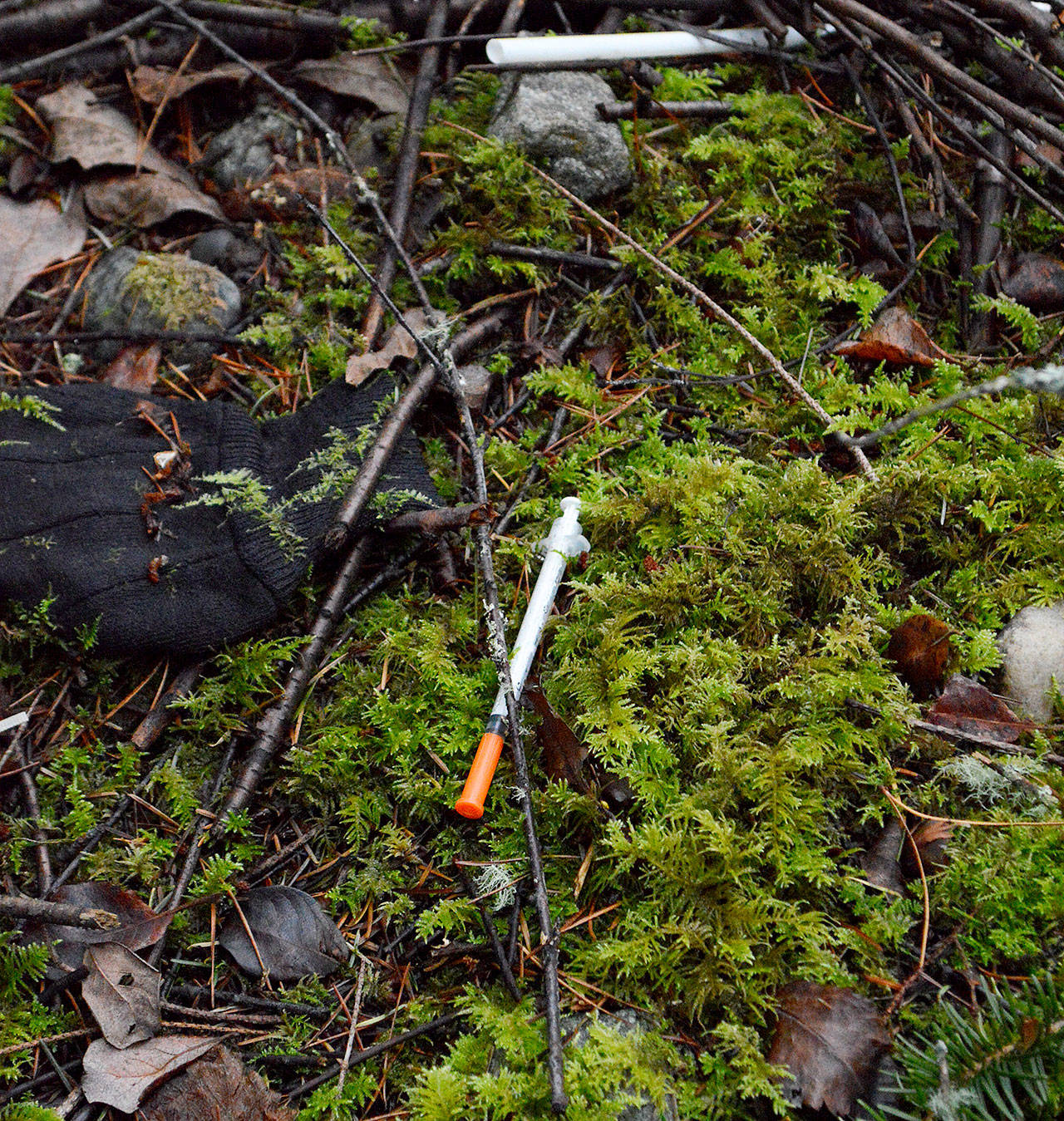 A hypodermic needle was found discarded near an Oak Harbor homeless camp.