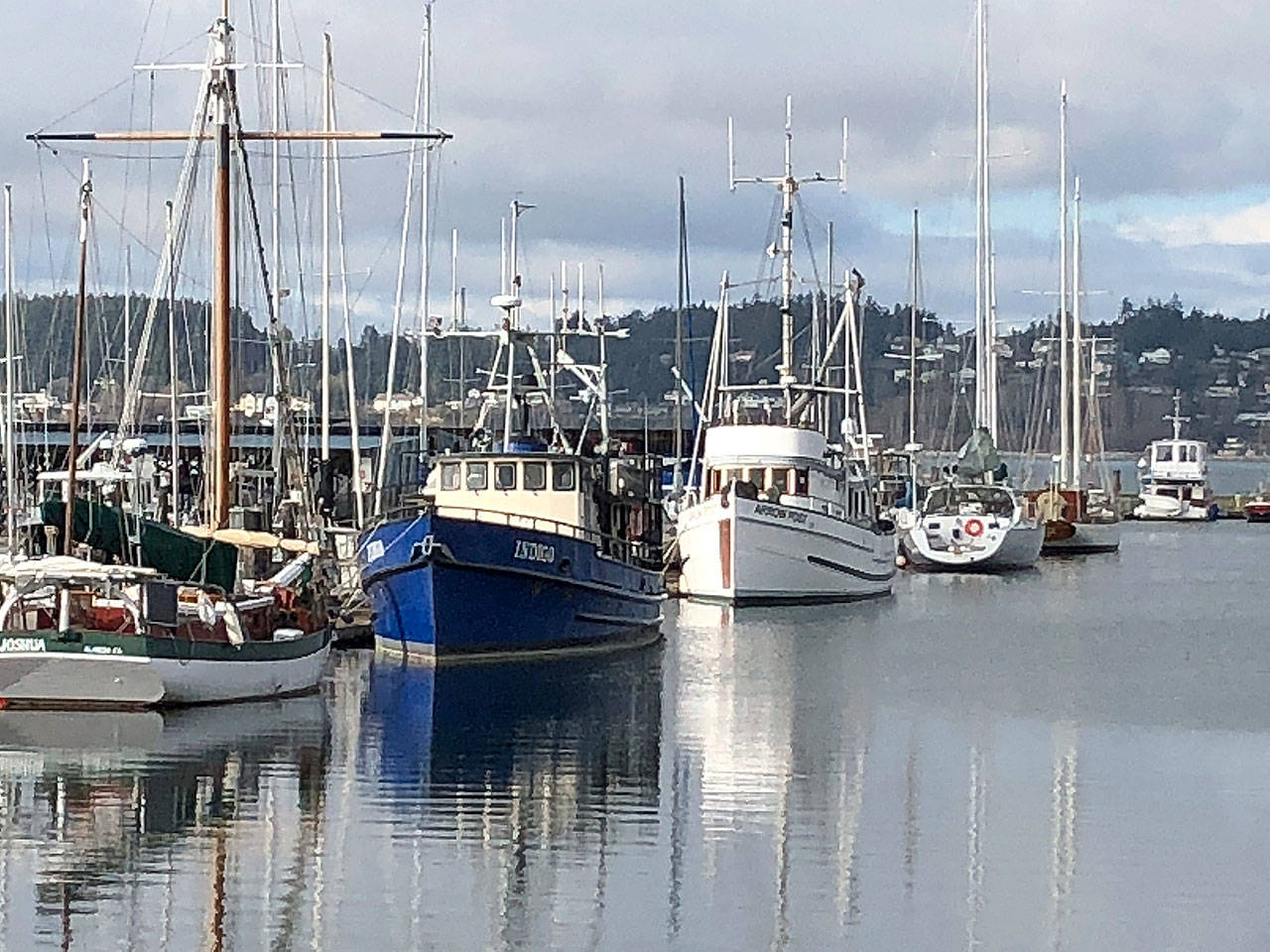 Proposed moorage rate increases at the Oak Harbor Marina may impact large boats the most. (Photo by Jessie Stensland / Whidbey News-Times)