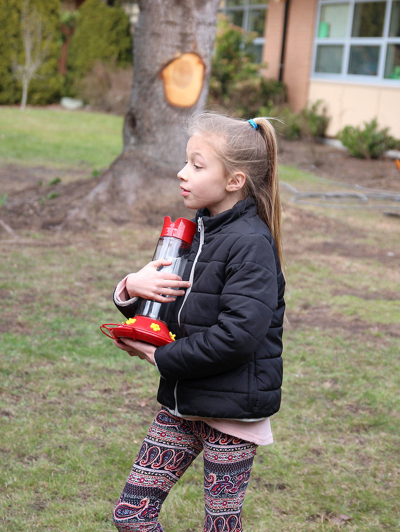 Third-grader Aubrey Bower carries a hummingbird feeder, purchased by Crescent Harbor Elementary School principal Kate Valenzuela. (Photo by Laura Guido/Whidbey News-Times)