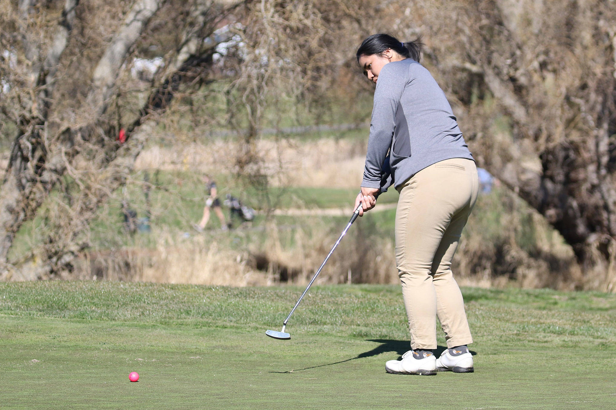 Oak Harbor’s Jenna Flores putts during the Whidbey Shootout Tuesday. (Photo by John Fisken)