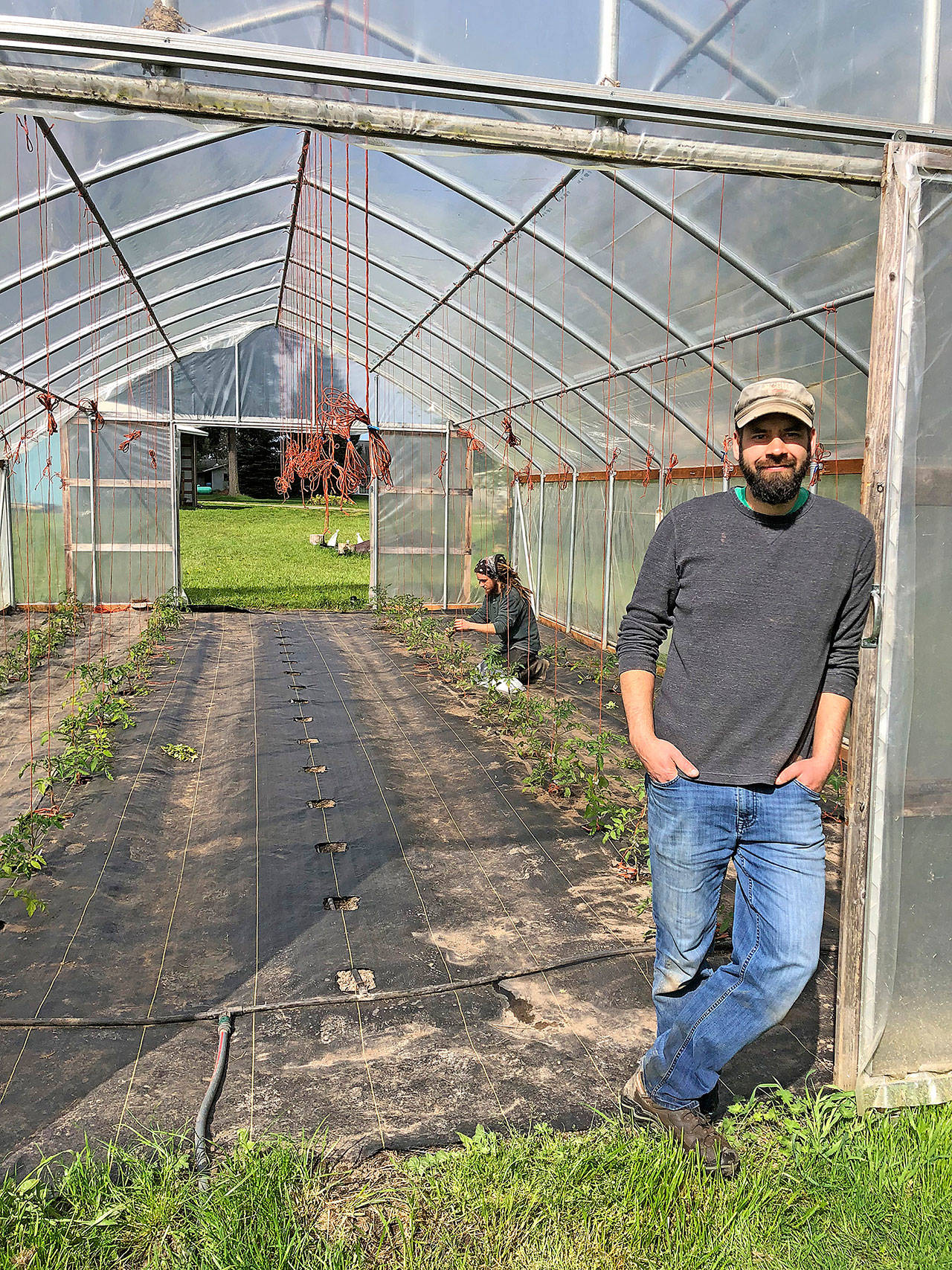 Photo by Harry Anderson/Whidbey News-Times -                                 Tyler Hanson stands outside the hoop house at Kettle’s Edge Farm where he is growing tomatoes.