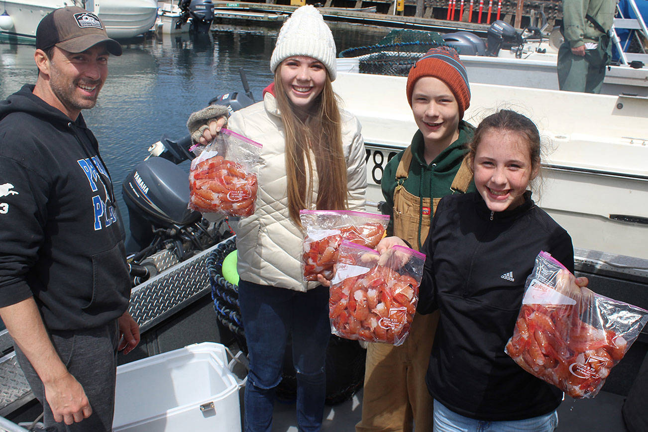 Whidbey’s shrimp season mighty small and plenty busy