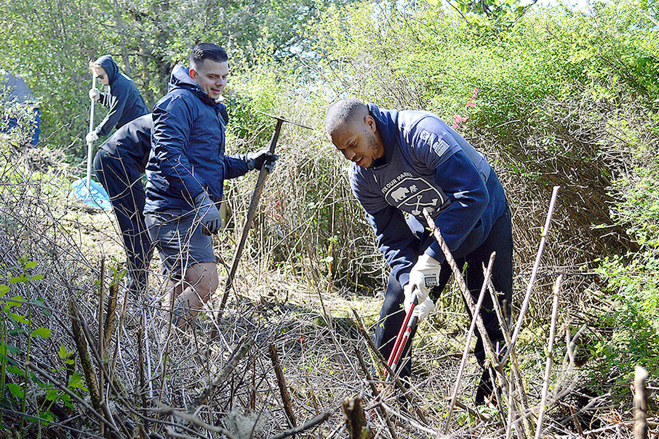 Sailors, vets pitch in to build trail