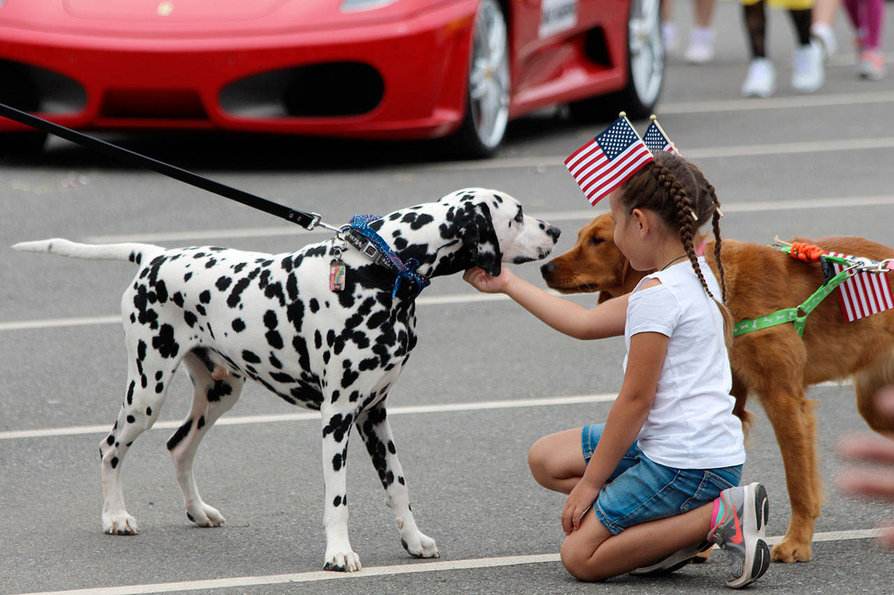 Madisyn Stratton, 5, pets furry parade participants Thursday. (Photos by Maria Matson/Whidbey News-Times)