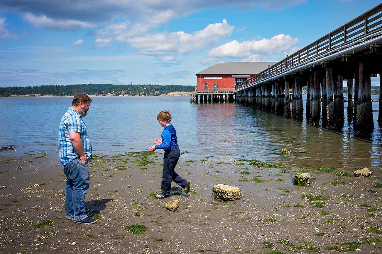 Port of Coupeville approves $16,000 to launch wharf restorations