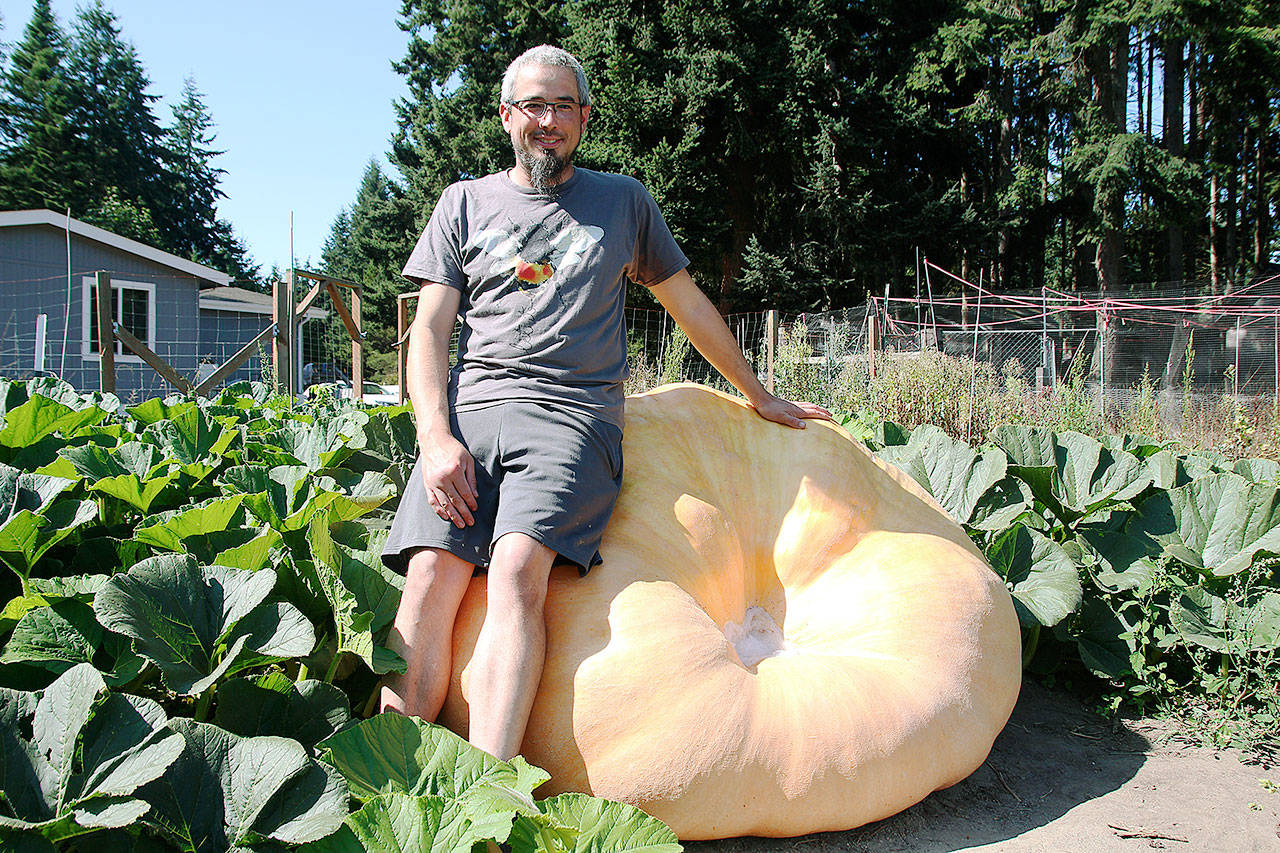 Photo by Laura Guido/Whidbey News-Times                                Ryan Nefcy leans against his sturdy Atlantic giant pumpkin, named Gertrude, which weighed in at more than 1,000 pounds. For the story, please turn to page A2 of today’s Whidbey News-Times