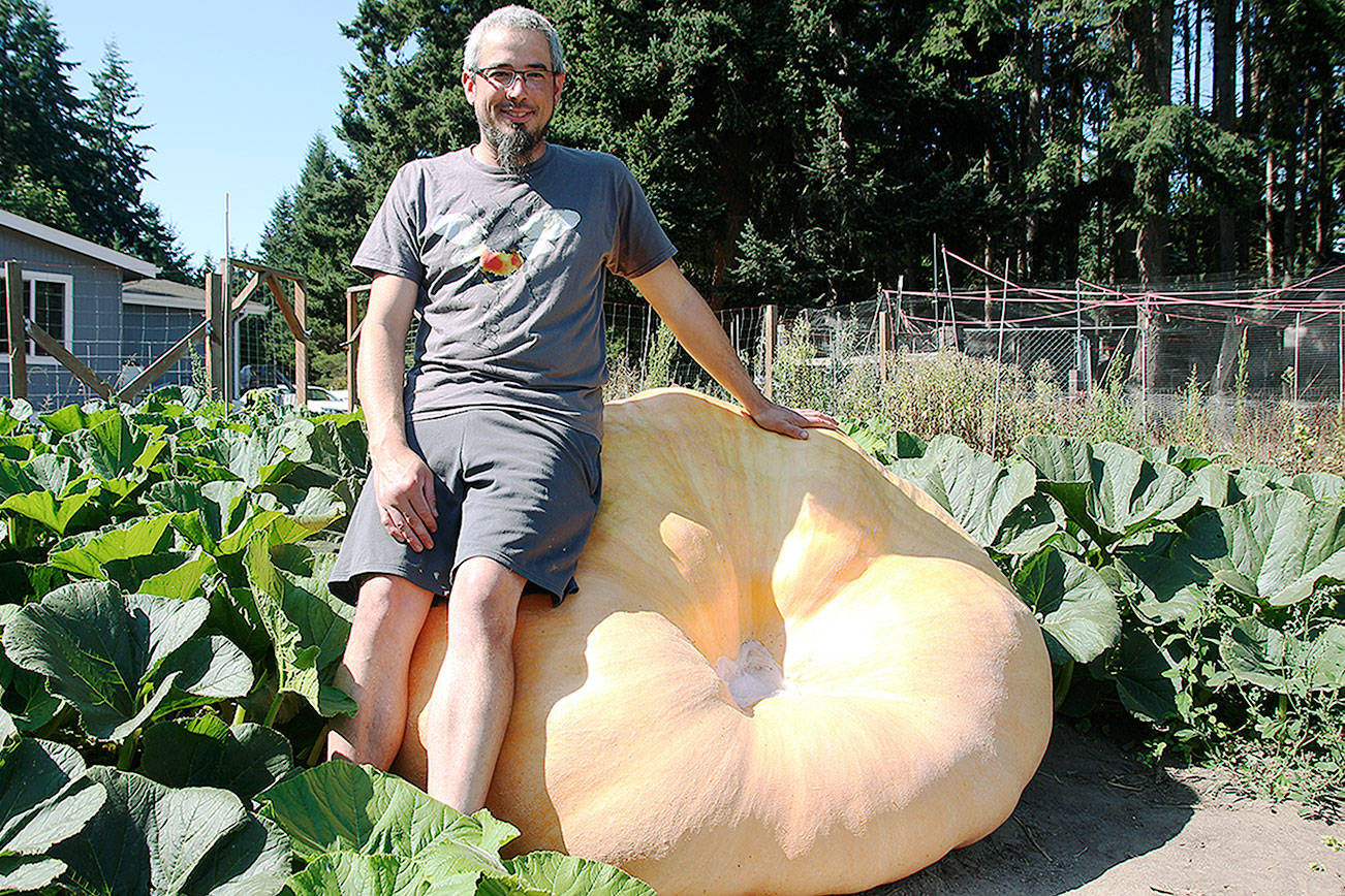 Ryan and the giant pumpkin: Coupeville resident grows half-ton gourd