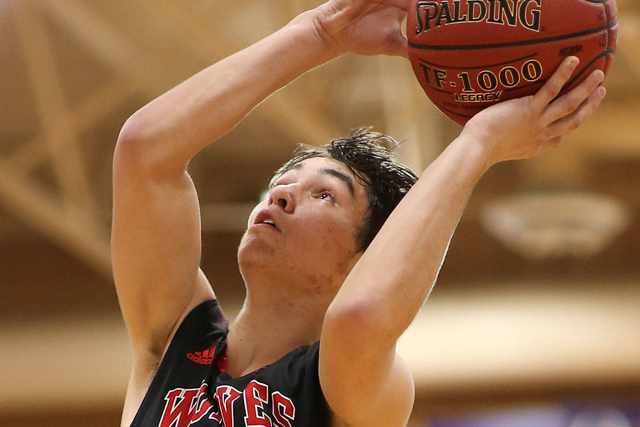 Wolfe receives Player of the Week honors from the WIAA / Boys basketball