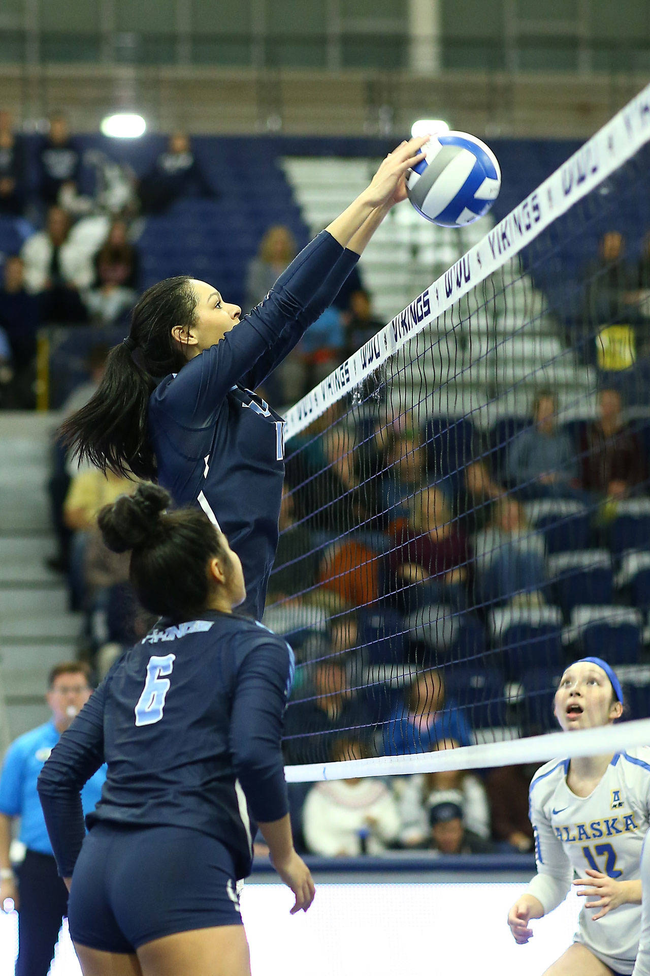 Doing what she did better than any other player in the history of WWU and the Great Northwest Athletic Conference, Kayleigh Harper puts up a block in a match last month. (Photo by John Fisken)