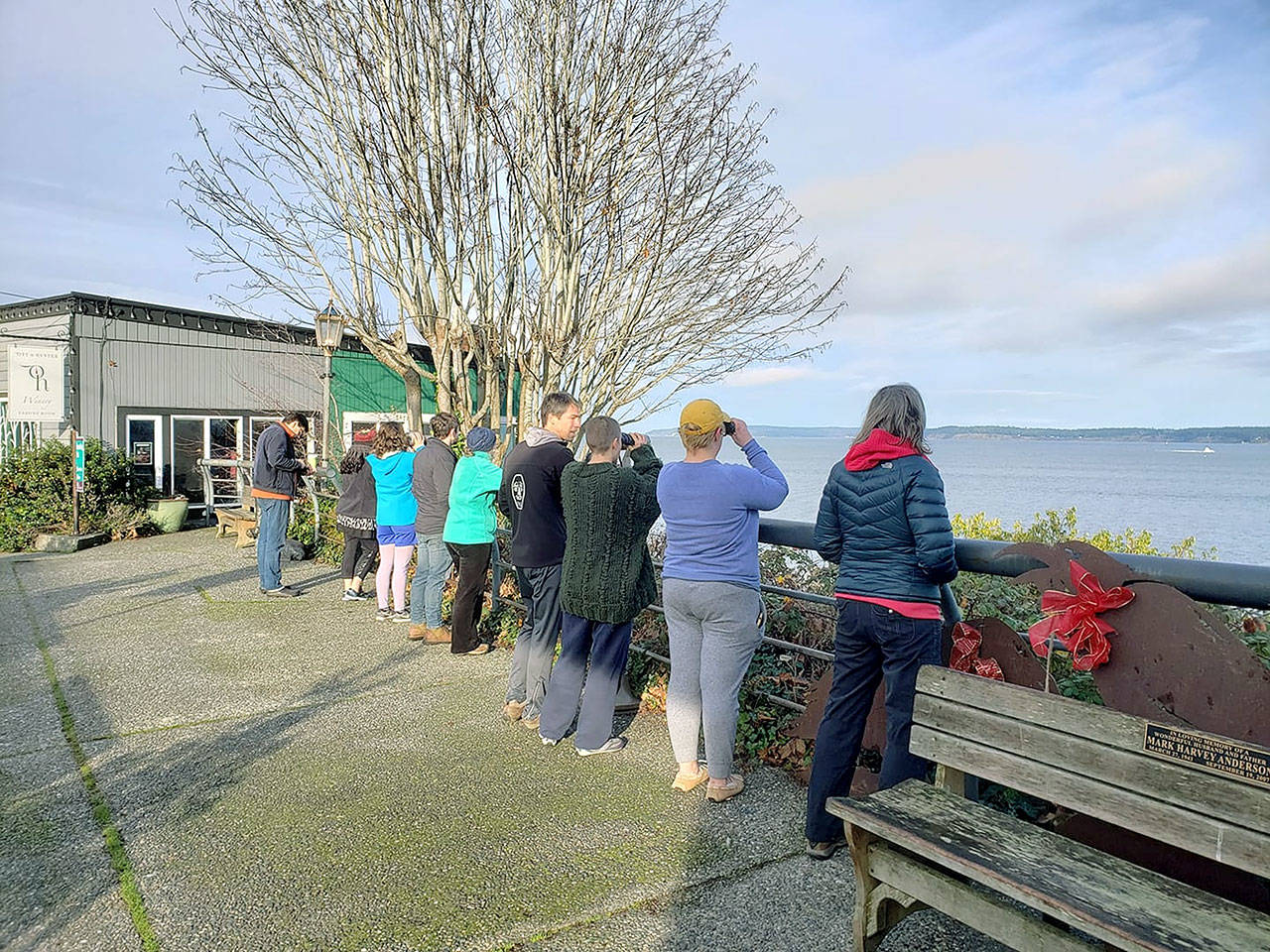 Photo courtesy of Durand Dace                                Onlookers armed with binoculars rushed to Boy and Dog Park on the morning of Dec. 24 to catch a glimpse of the passing orcas.