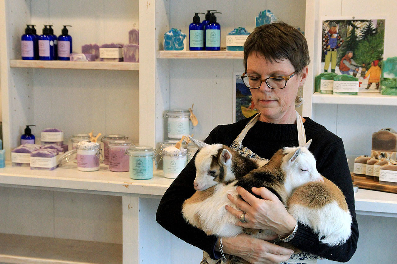 Photos by Kira Erickson/Whidbey News-Times                                Owner Molly Jacobson holds recently born twin goats in her store.