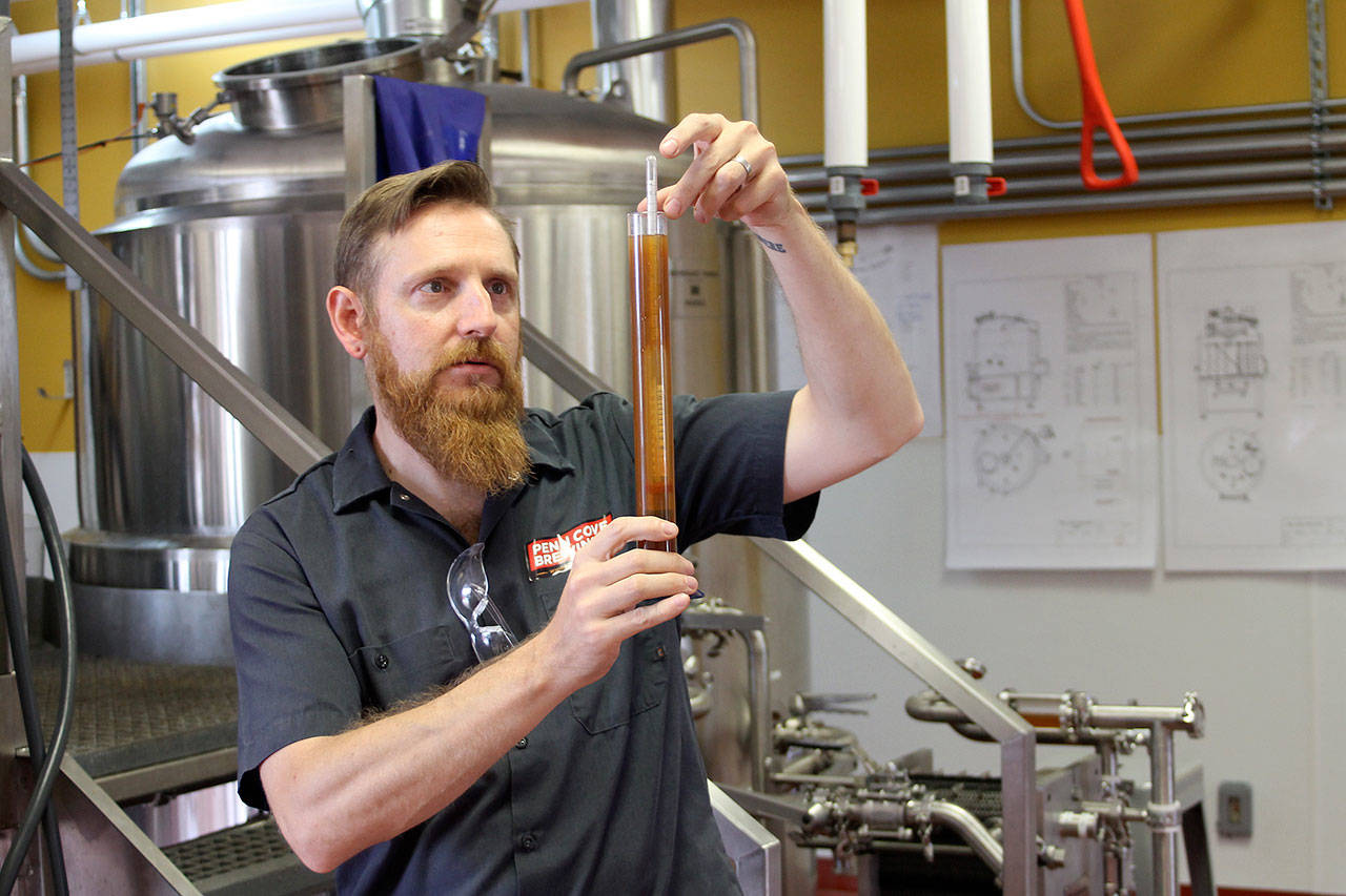 Photo by Jessie Stensland / Whidbey News Group
Assistant Brewer Erickson Adam eyeballs a sample in Penn Cove Brewery’s new facility.