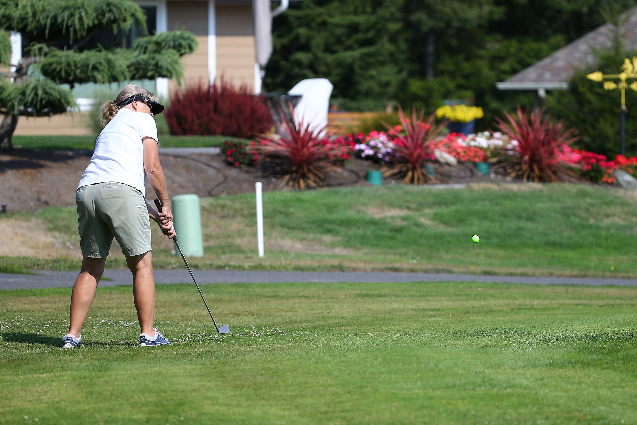 Anna Anderson chips to the green in the Ladies Short and Sweet Par-3 Challenge Thursday, Sept. 10, at the Whidbey Golf Club. (Photo by John Fisken)
