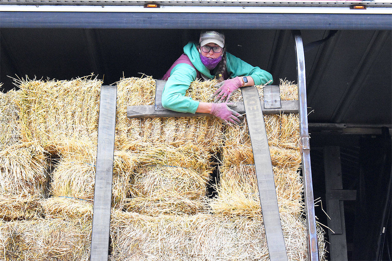 Jennifer Jones coordinated hay donations from more than 30 people on Whidbey Island to give to farmers in Eastern Washington who were affected by this summers wildfires. Photo by Emily Gilbert/Whidbey News-Times