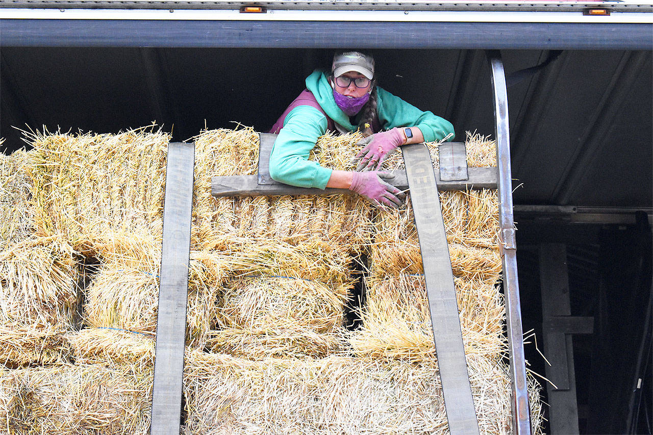 Jennifer Jones coordinated hay donations from more than 30 people on Whidbey Island to give to farmers in Eastern Washington who were affected by this summer’s wildfires. Photo by Emily Gilbert/Whidbey News-Times