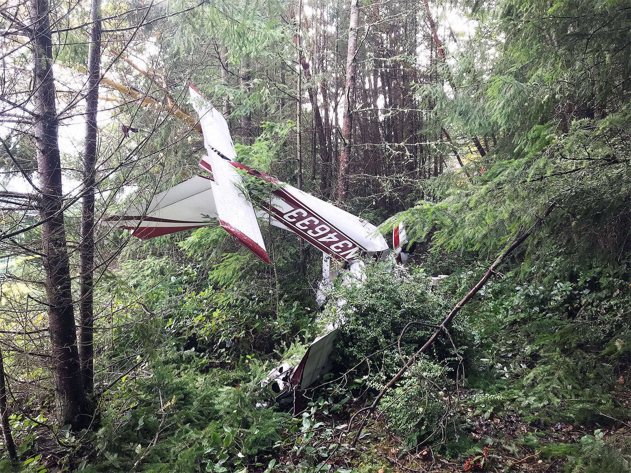 Two people were killed when A single-engine Cessna 177 Cardinal airplane crashed at the Whidbey Airpark near Langley Nov. 11, according to the FAA. Photo provided by Island County Sheriff’s Office.
