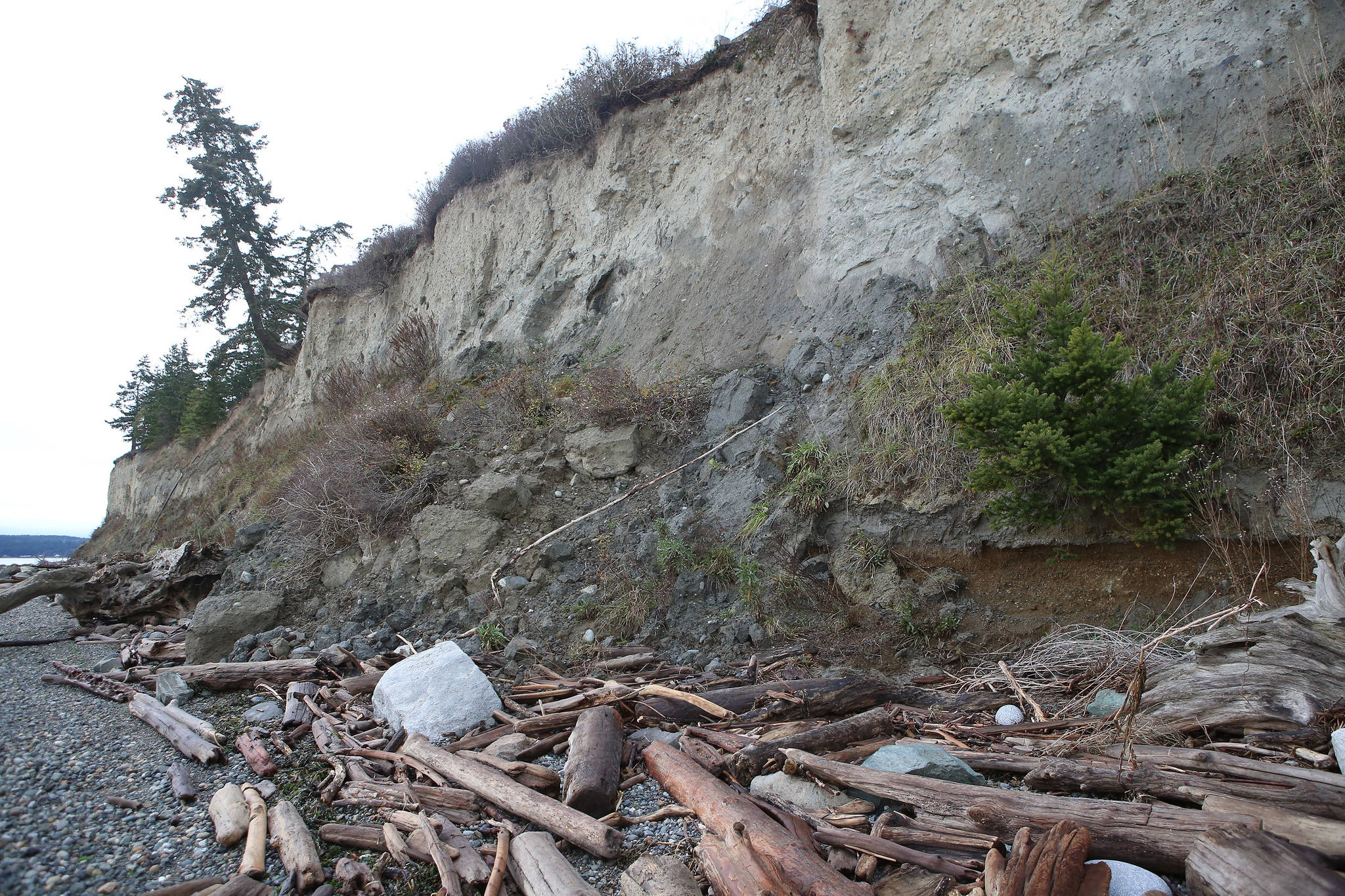 A landslide near Monroe Landing creeps underneath Penn Cove Road south of Oak Harbor. Photo by John Fisken