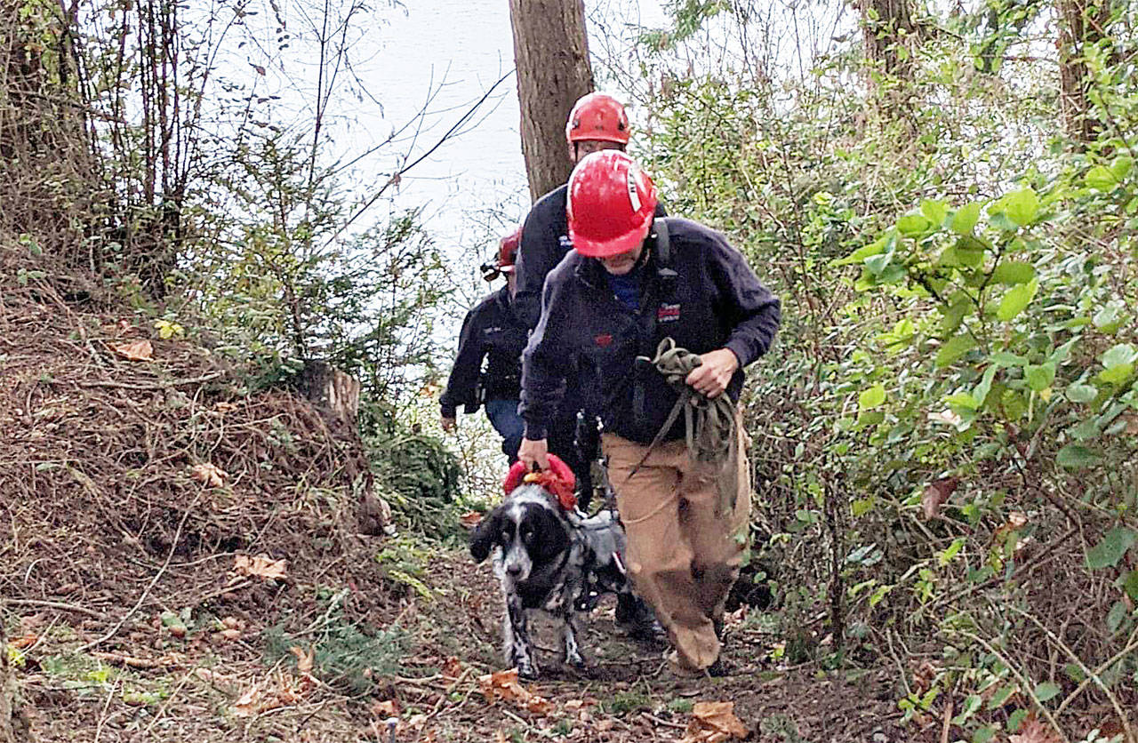 North Whidbey Fire and Rescue crew return with 15-year-old English settler, Morty, who slipped down a steep embankment during a morning walkabout. Photo courtesy North Whidbey Fire and Rescue.