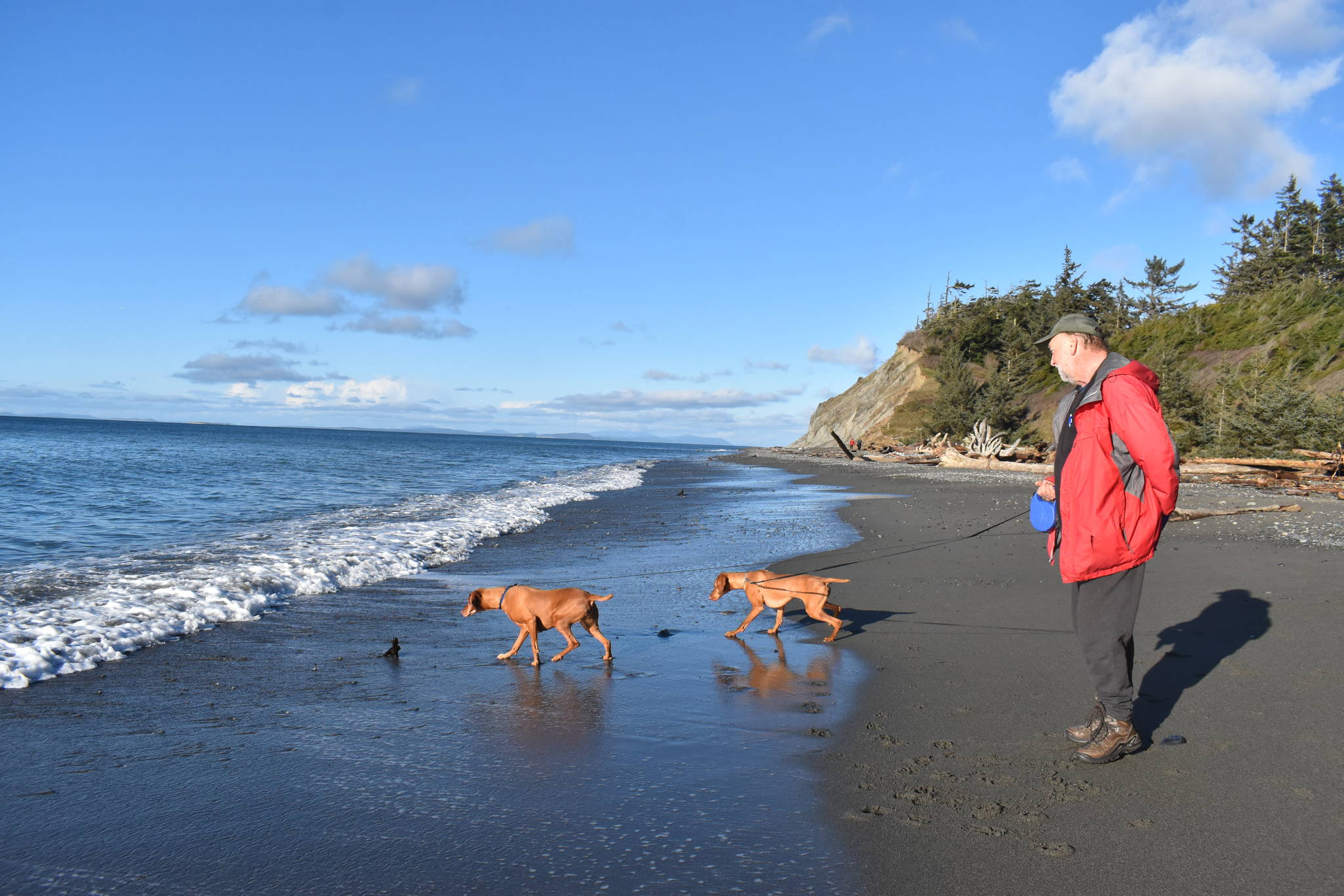 Chessie and Calamity, with owner Bill Hoff of Missoula, Mont., touched the ocean for the first time at Fort Ebey State Park near Coupeville. The park is one of 28 that the Navy has identified as a training site in its expanded proposal. Photo by Emily Gilbert/Whidbey News-Times
