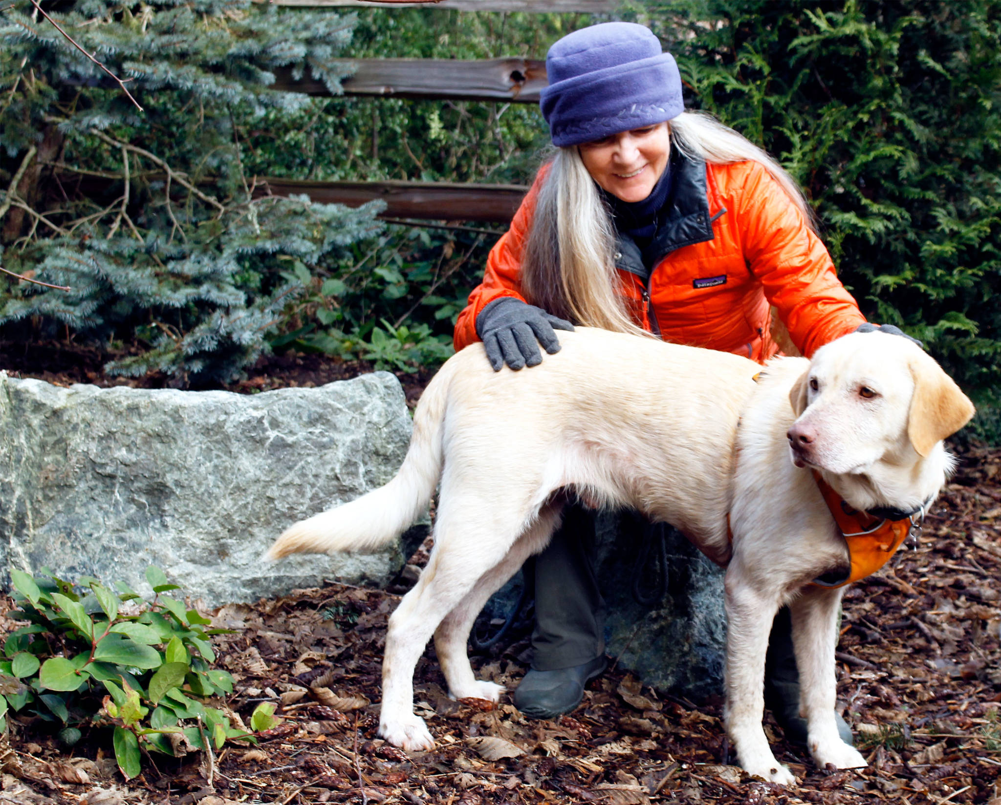 Elizabeth Johnson and rescue dog Wilbur