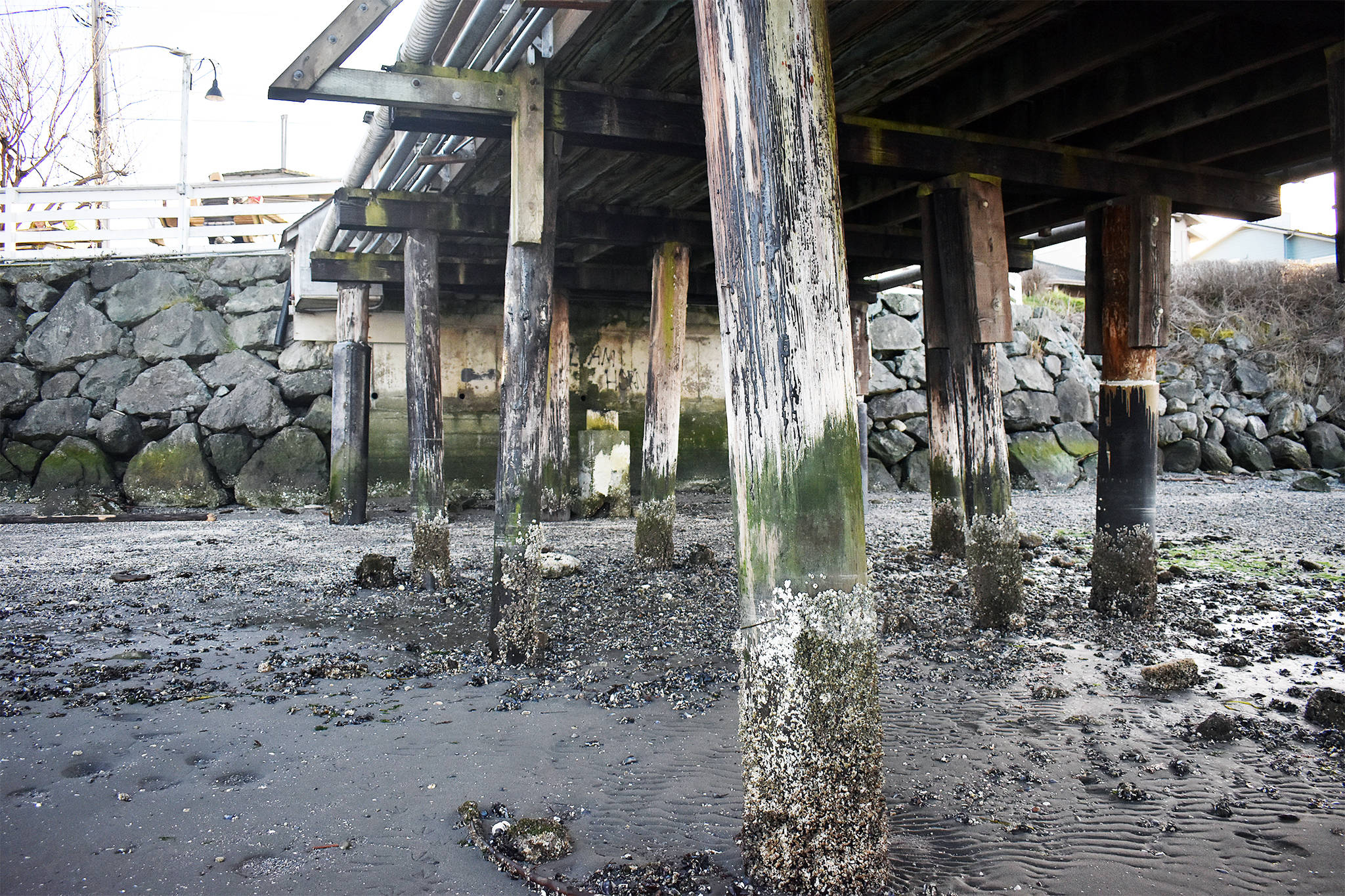 Port reflects on 2020, looks at projects, possible levy Whidbey News