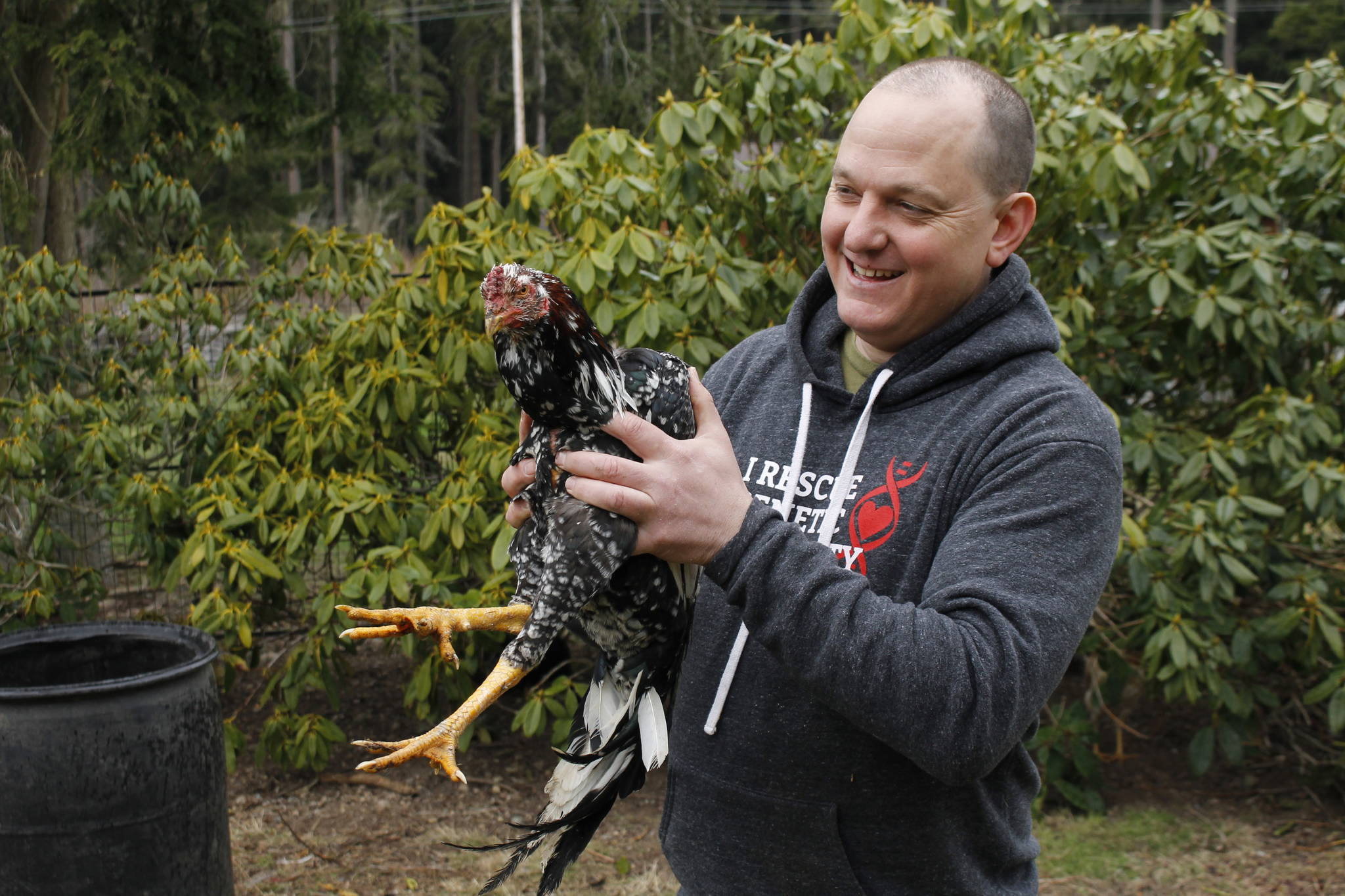 George Cerrato and his wife, Shuna, own Cascadia Heritage Farm in North Whidbey. They are breeding and preserving critically endangered birds. Photo by Kira Erickson/Whidbey News Group