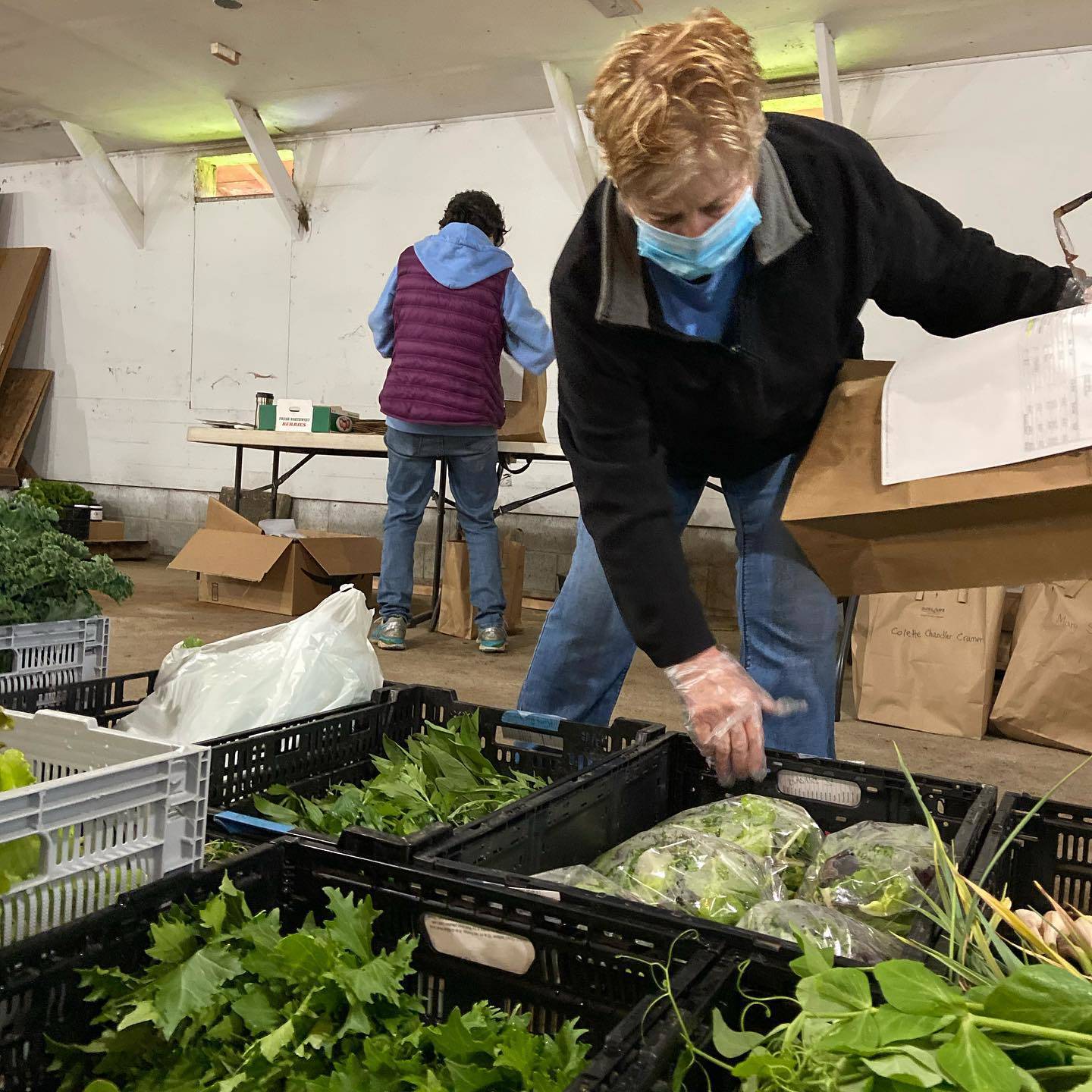 Photo courtesy Whidbey Island Grown Cooperative
The Whidbey Island Grown Cooperative’s online ordering platform, the Food Hub, connected shoppers with local farmers, and now allows businesses to place large orders.