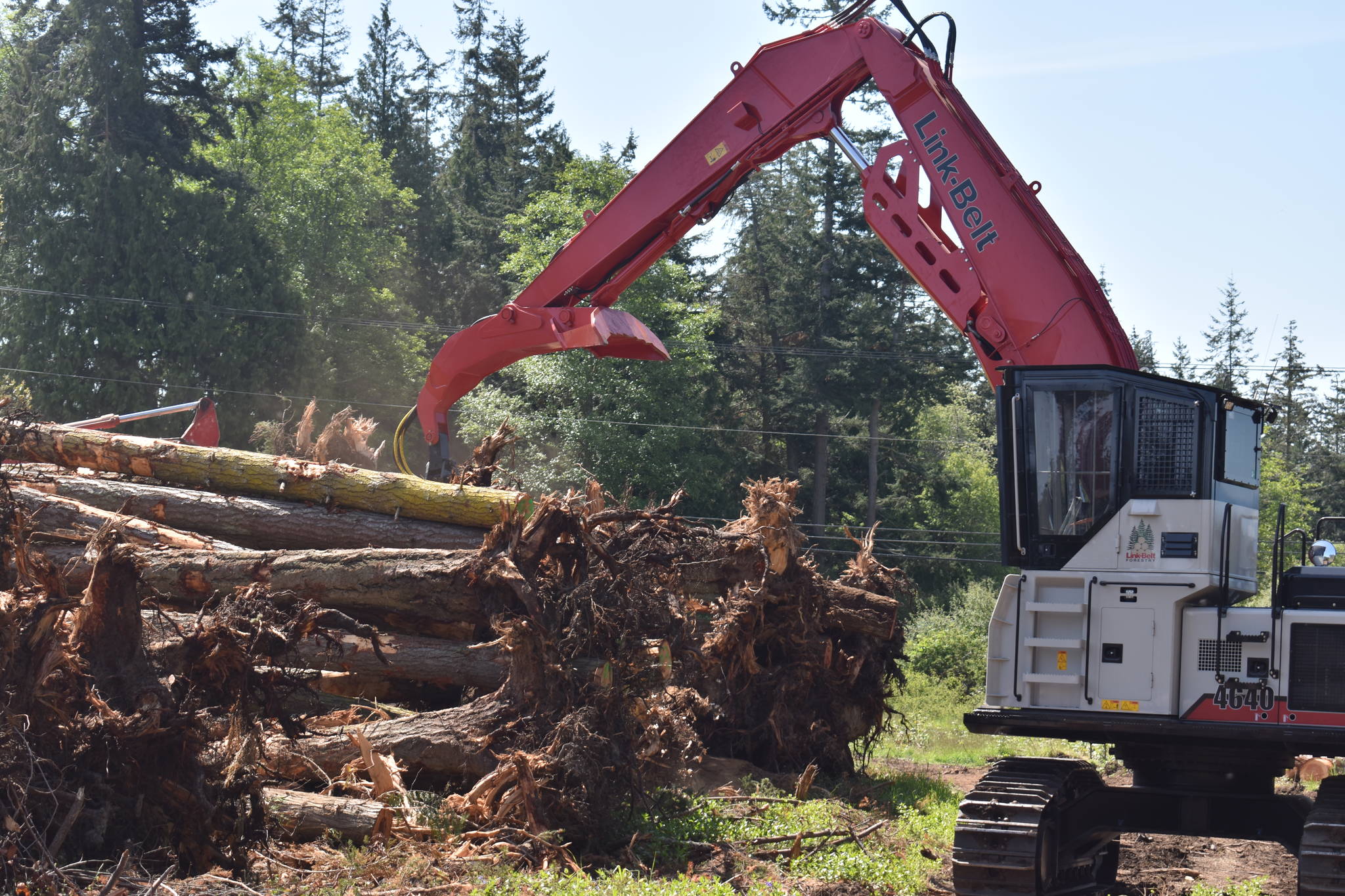 Photo by Emily Gilbert/Whidbey News-Times
Cherry Valley Logging Company harvested trees from its 40-acre property off Monkey Hill Road on North Whidbey. Trees that still have bark and roots will go to a Skagit County fish habitat project.
