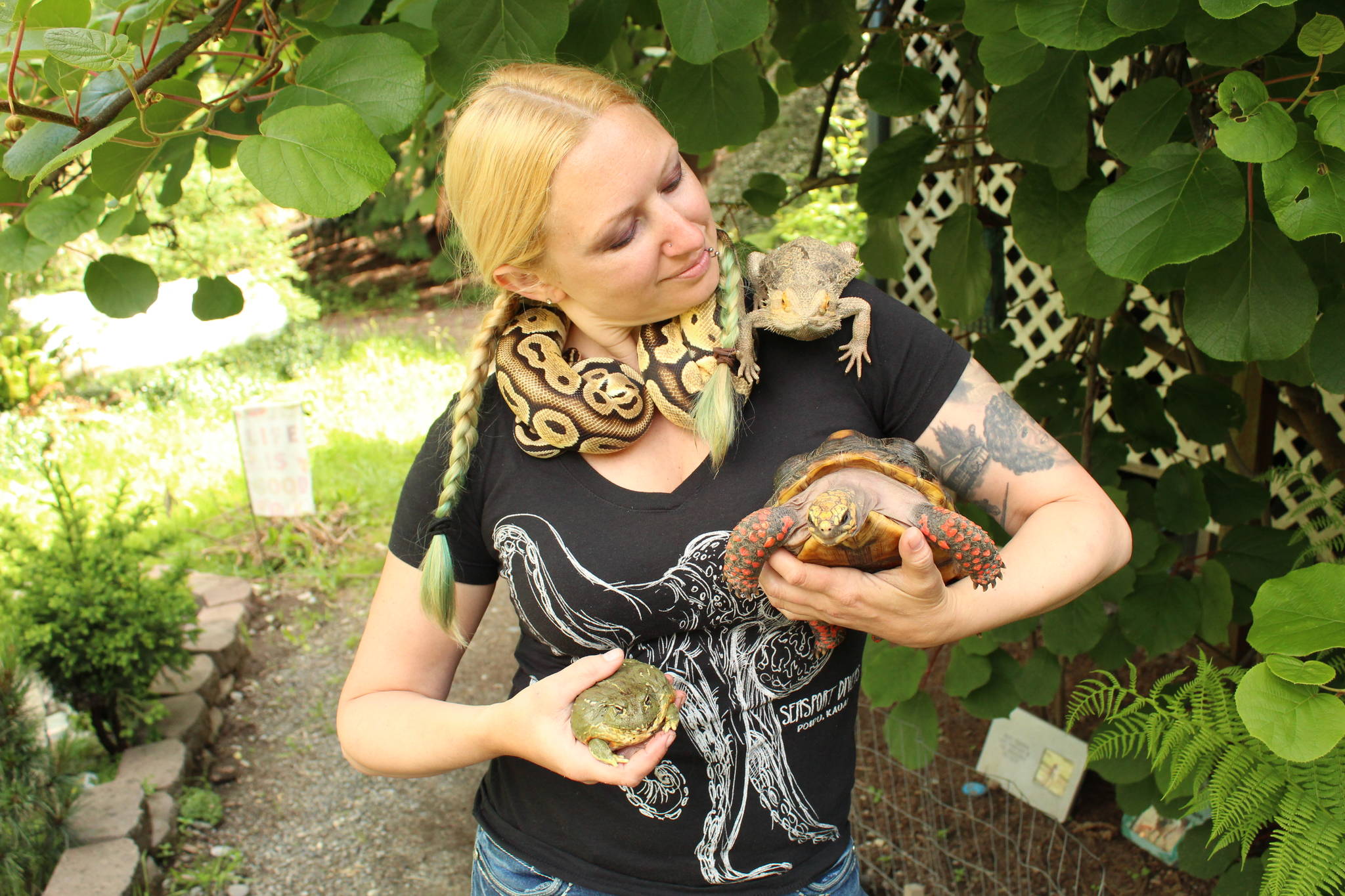 Amanda Ferrara poses with ball python Lemon, bearded dragon Drogon, red-footed tortoise Bus, and pixie frog Cartman. (Photo by Karina Andrew/Whidbey News-Times)