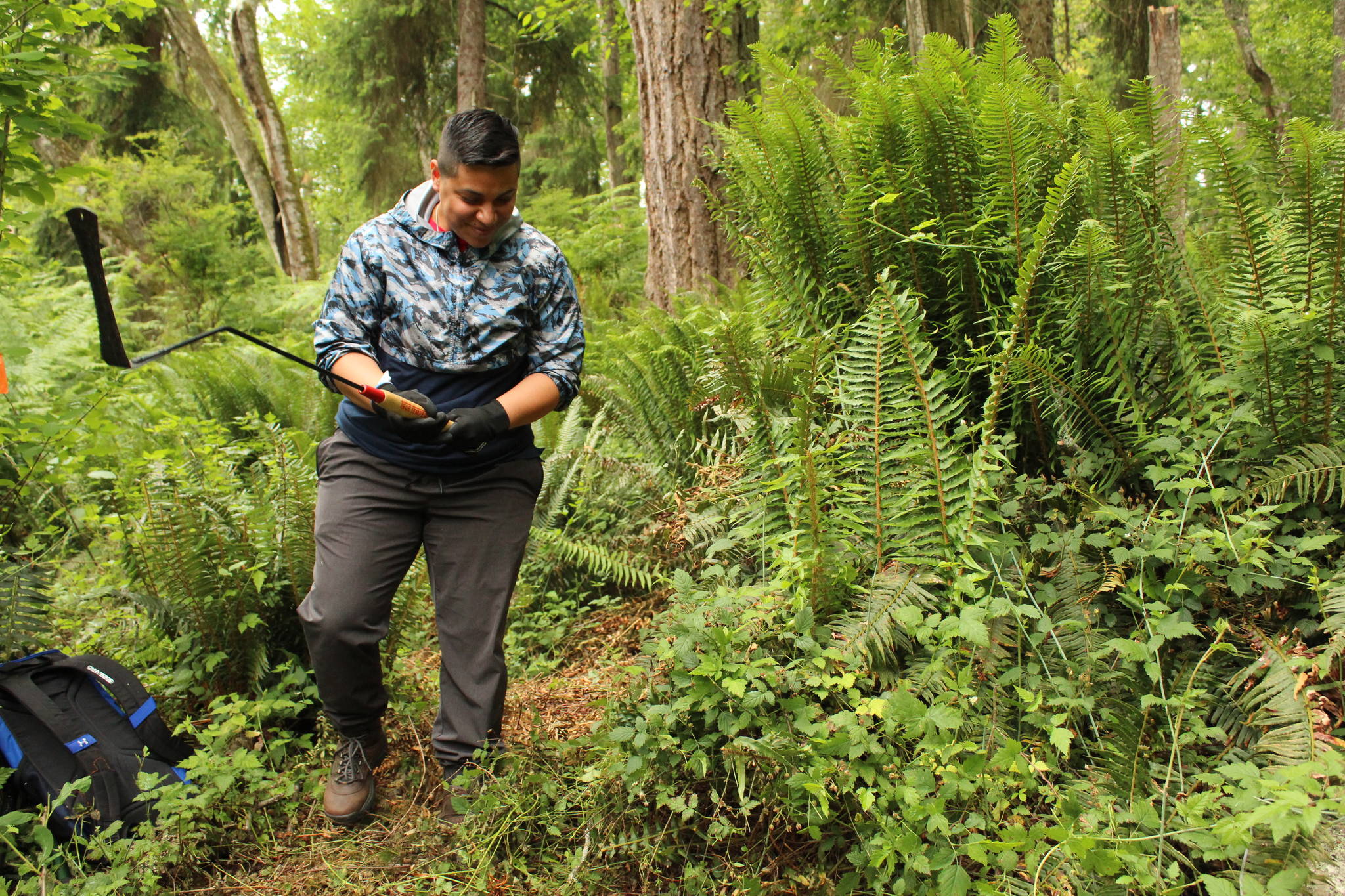 Jackie Alvarez, a Whidbey Camano Land Trust volunteer, helps clear a new trail at Strawberry Point Preserve Trail June 10. (Photo by Karina Andrew/Whidbey News-Times)
