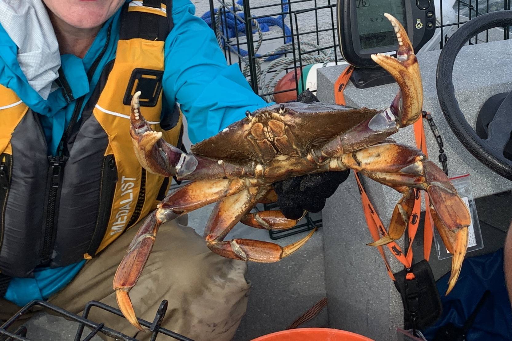 Photo courtesy America's Boating Club of Deception Pass
Inquiring minds hoping to nab that crab will have two opportunities to learn the tips and tricks of the trade this month before the recreational season opens July 1.