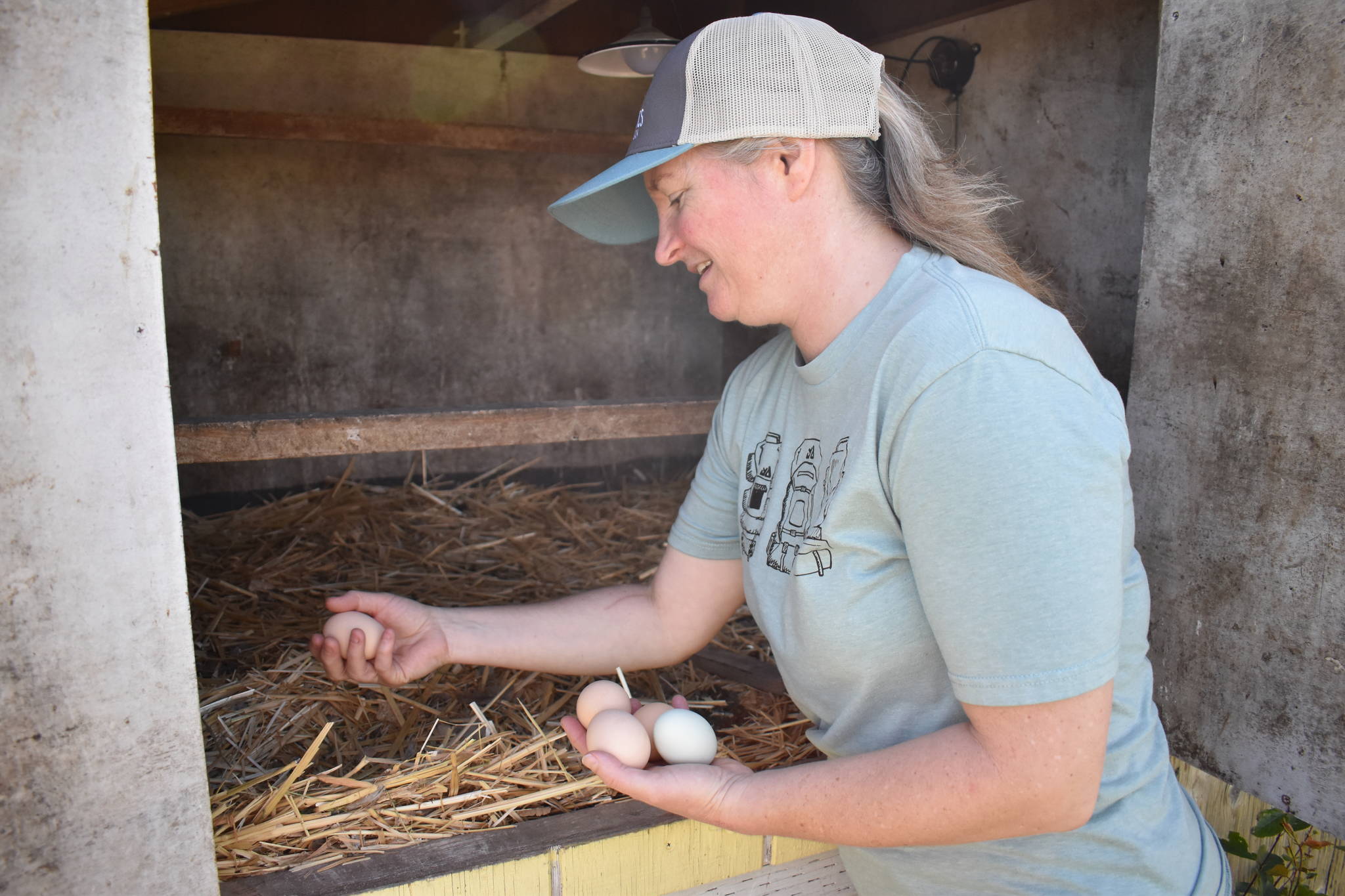 Melissa Stewart gathers some eggs at One Willow Farm in Oak Harbor. She and her husband, Mark, opened the farm last year after going through the “Armed to Farm” program for military veterans. Photo by Emily Gilbert/Whidbey News-Times
