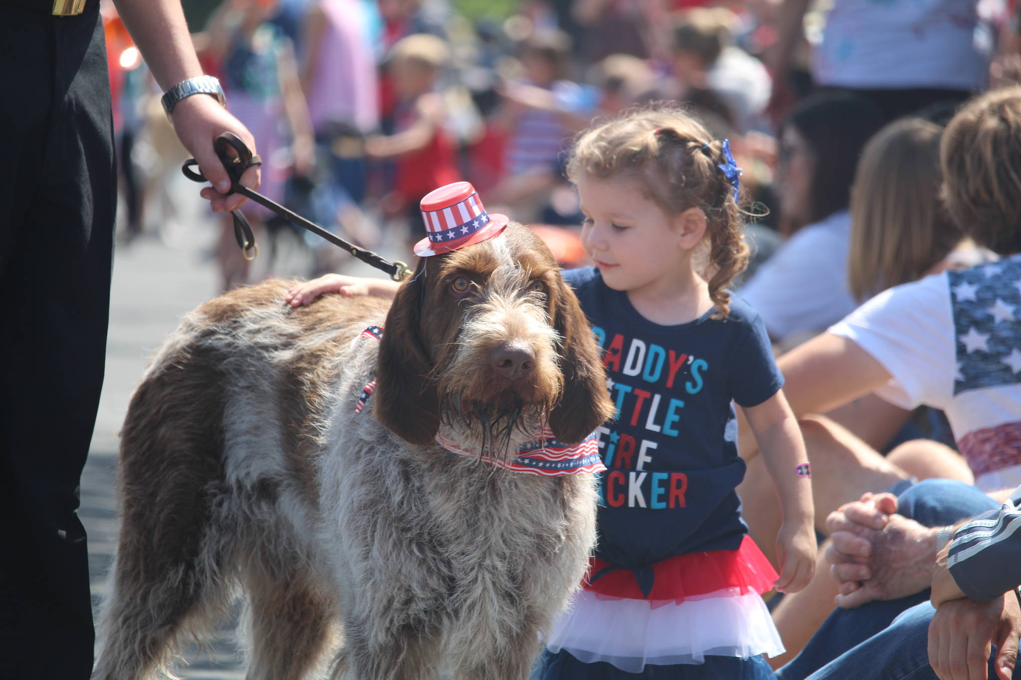 Espyn Gassett, 3, pets a dog who walked in the parade. (Photo by Karina Andrew/Whidbey News-Times)