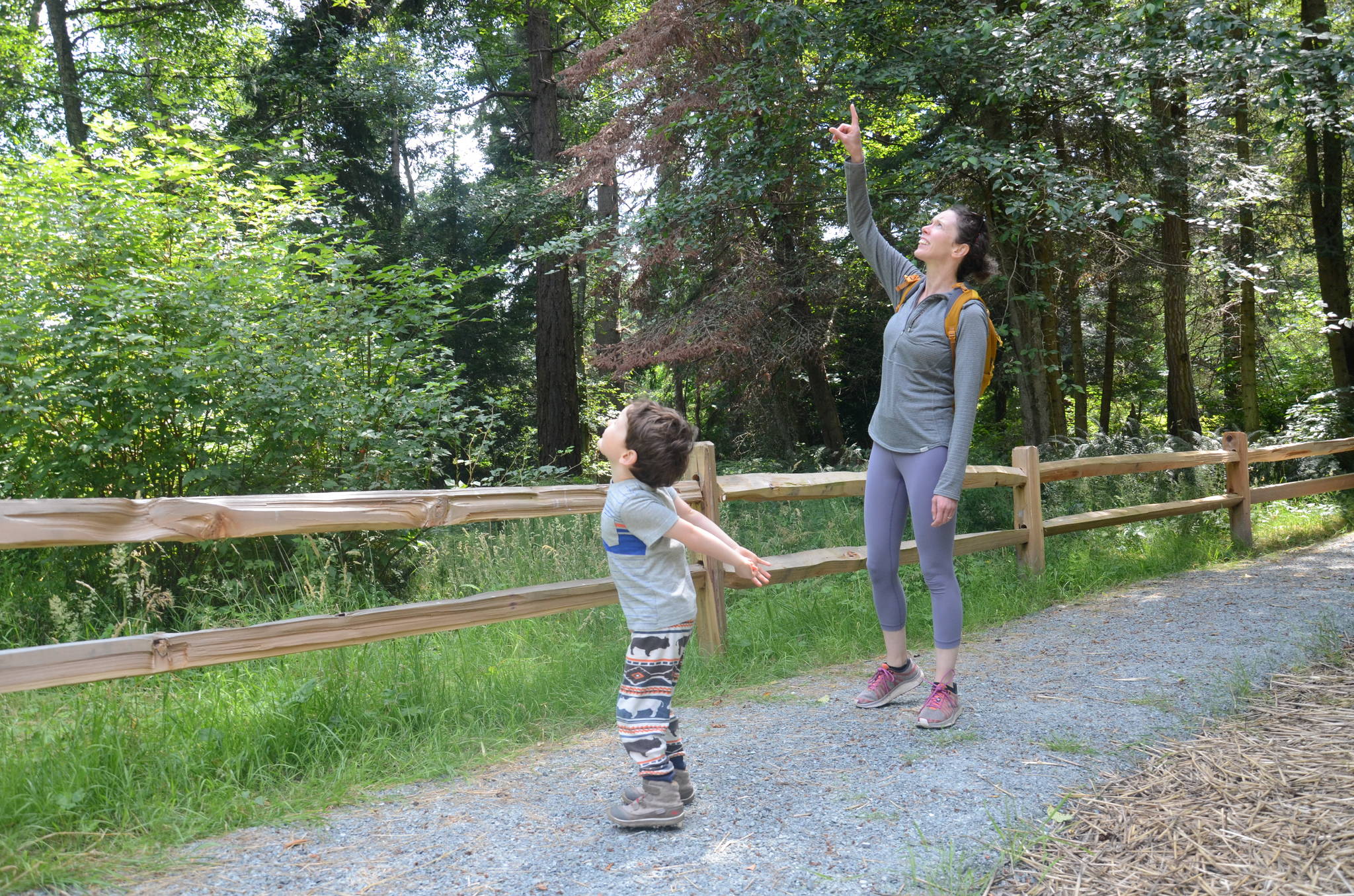 Brook Ott of Clinton points to a bald eagle passing over her and her son Halston Hunter during a visit to Possession Sound Preserve. (Photo courtesy of Whidbey Camano Land Trust)