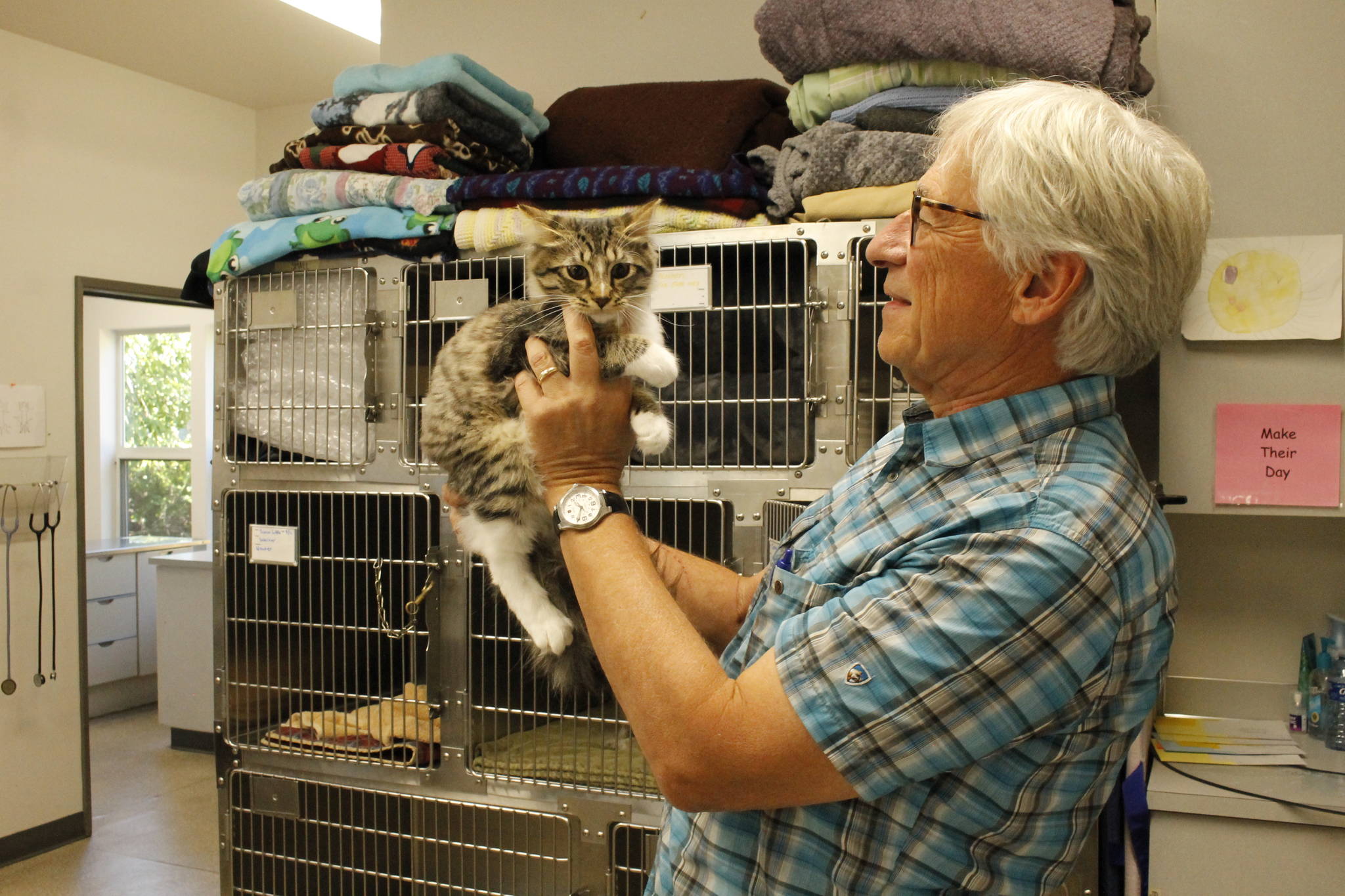 Veterinarian David Parent holds Tommy the cat. Although he is known for treating wild birds, Parent has tended to just as many domestic animals. (Photo by Kira Erickson/South Whidbey Record)