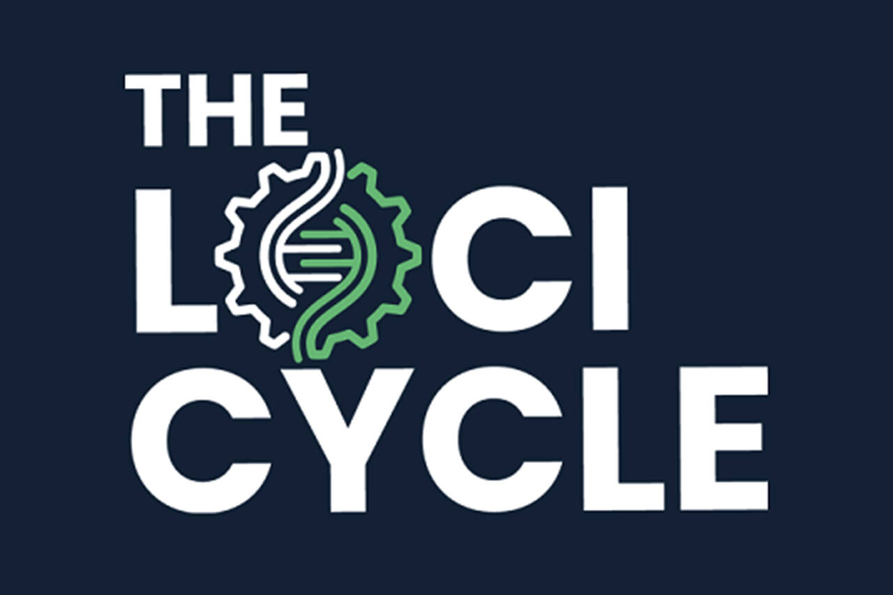 The Loci Cycle Review [2021] & Bonus By Chris and Cruiz