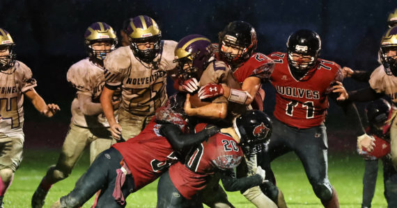 Photo by John Fisken
The Wolves tackle a Wolverine during a Oct. 28 heartbreaker.  Coupeville lost 13-6 to Friday Harbor in triple overtime.