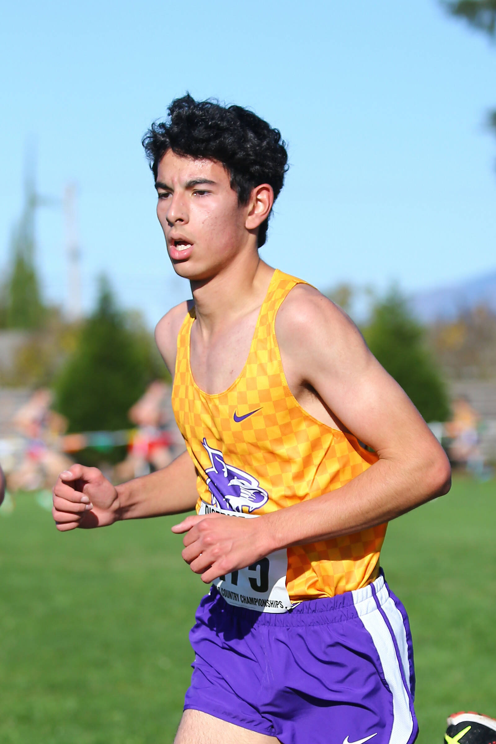 Senior Jacob Pearson came in 12th place at the district cross country meet Saturday. (Photo by John Fisken)